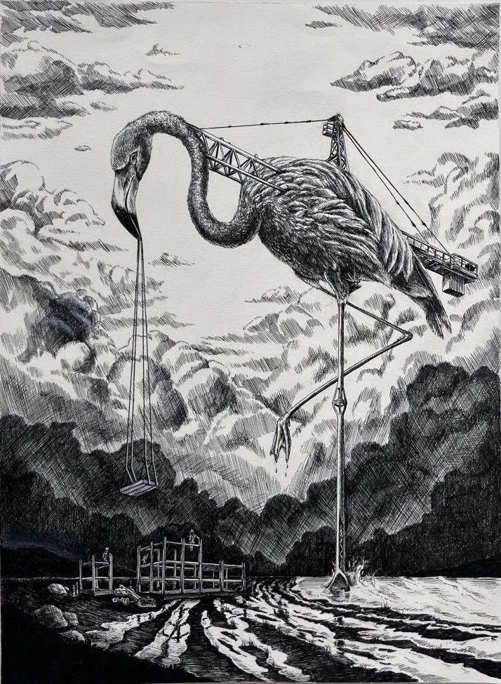 Flamingo Crane