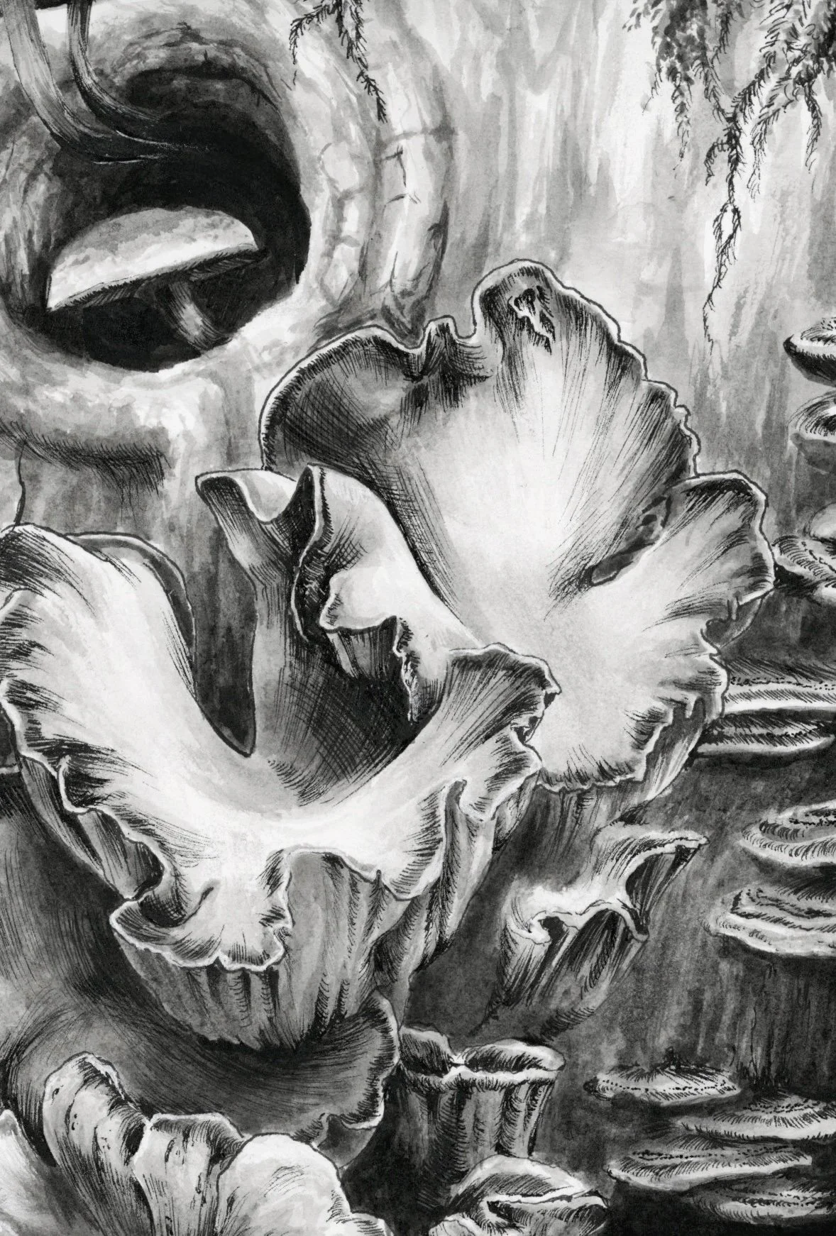 mushrooms+1.jpg