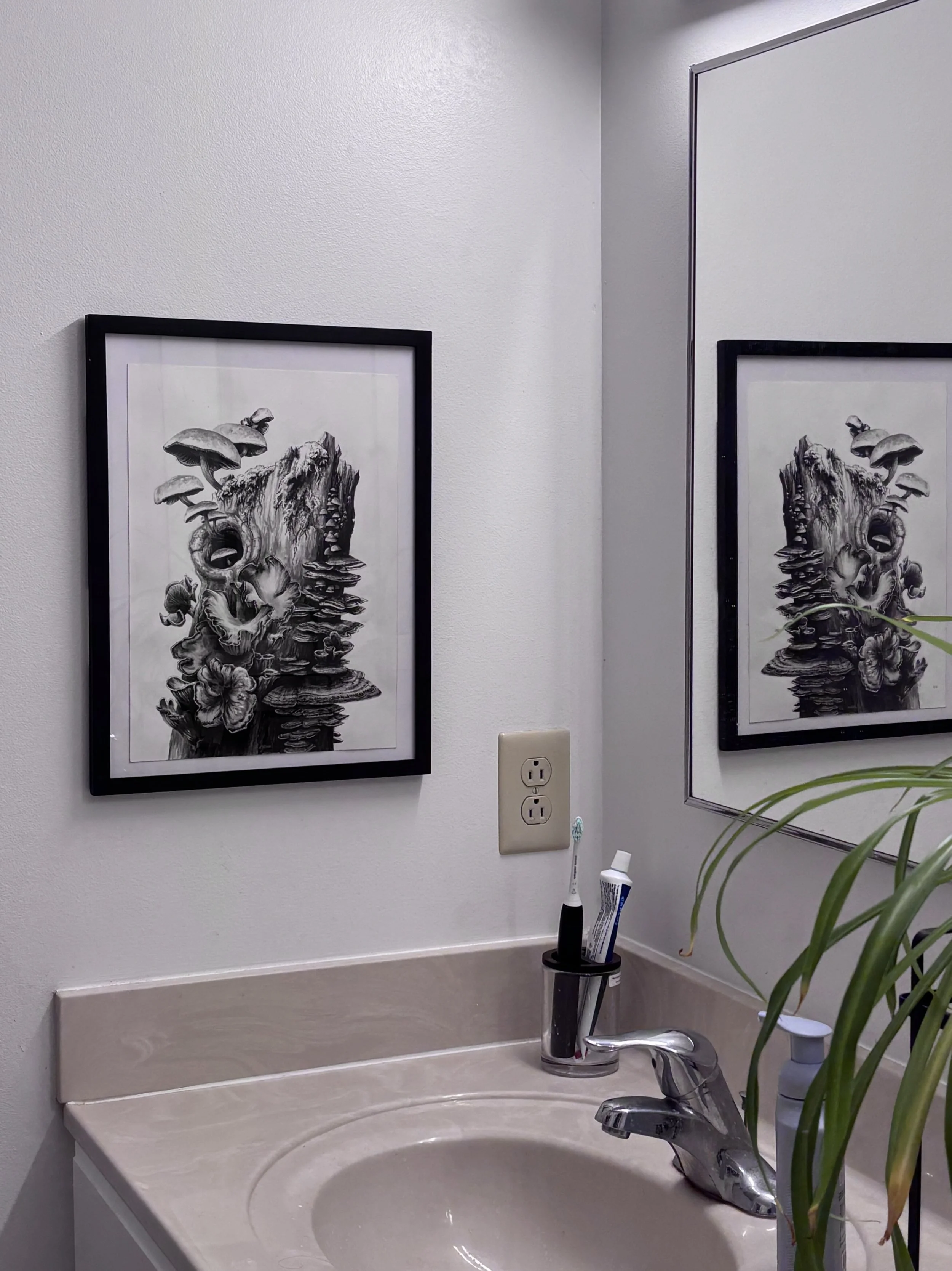 Mushroom-bathroom.jpg