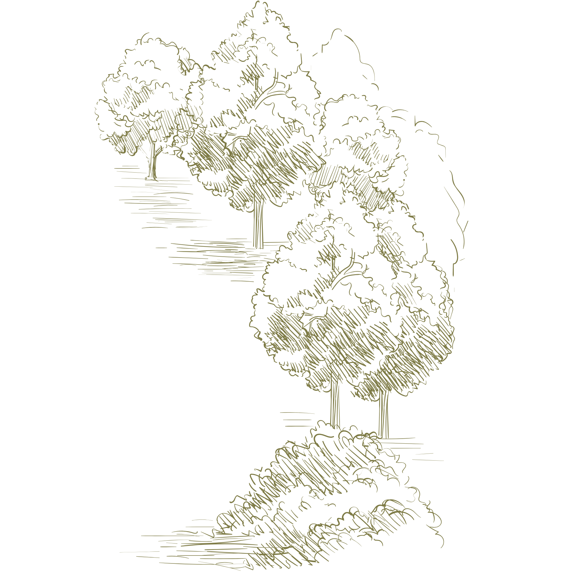 Illustration of a tree with detailed, sketch-like lines on a black background.