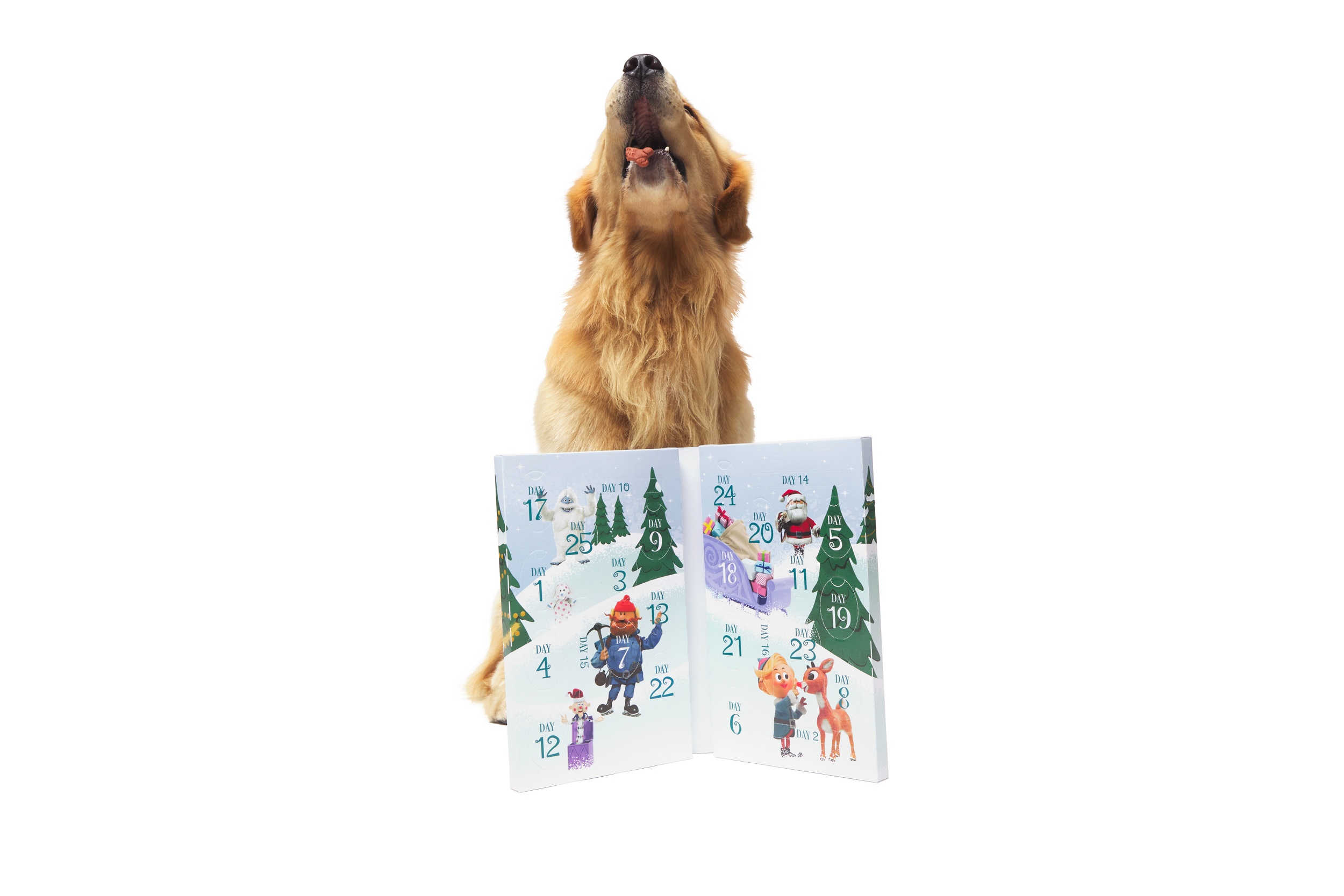 SC-GWP_211283_HOLLY-JOLLY-TREAT-CALENDAR_2924.png