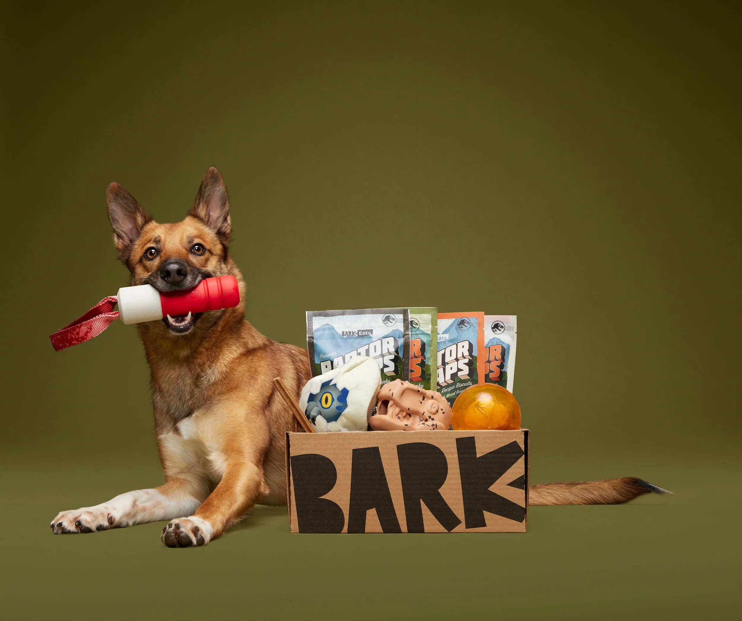 BARK x Jurassic Park