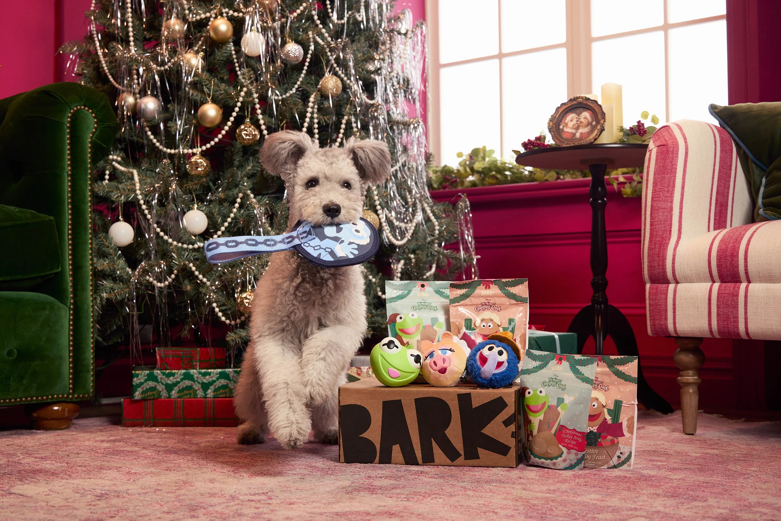 BARK x Muppets Christmas Carol