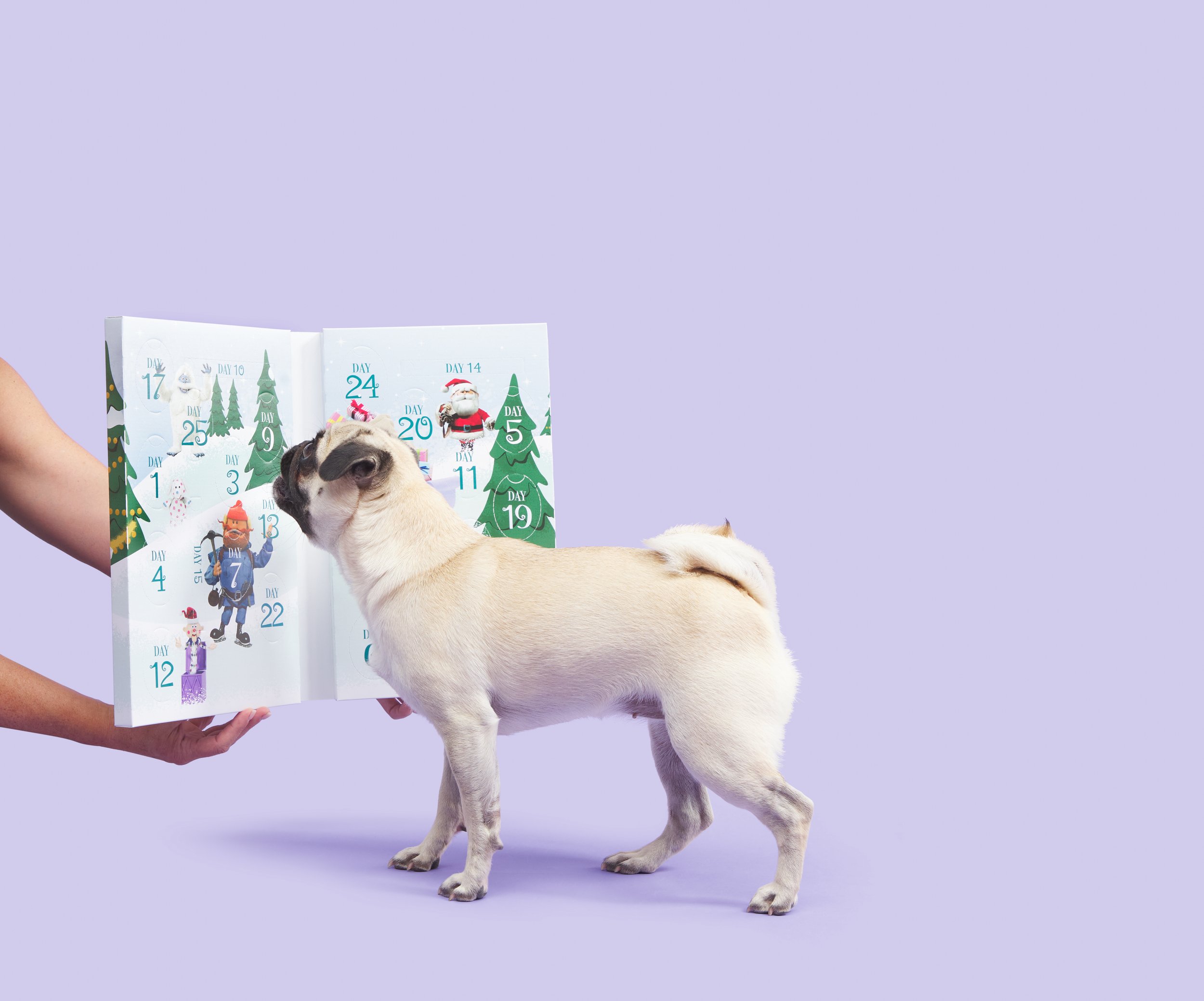 _0012_BOX-ATB_RUDOLPH-ADVENT-CALENDAR-STOP-MOTION_2532.jpg