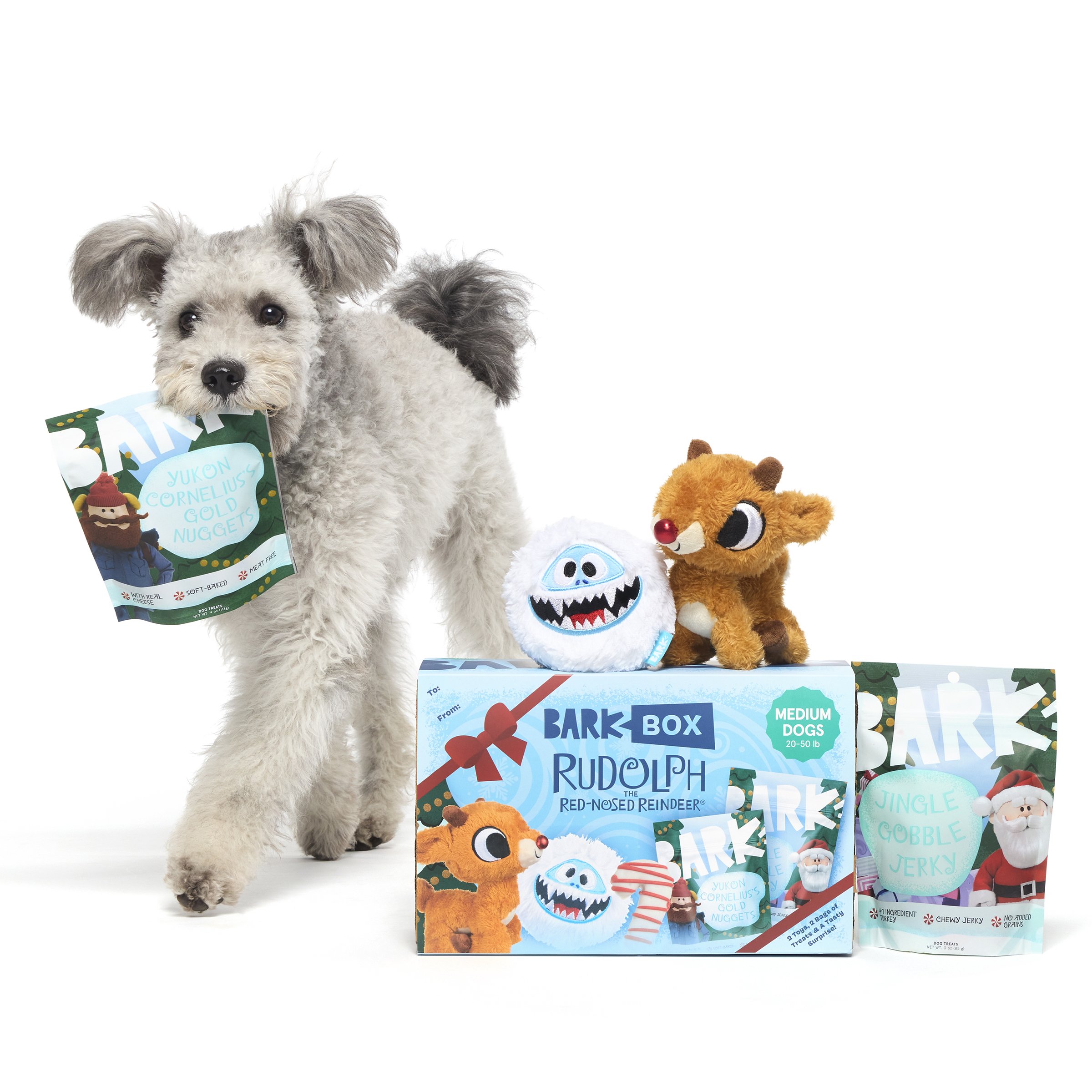 RUDOLPH-KIT-MEDIUM_ALT3_630841.jpg