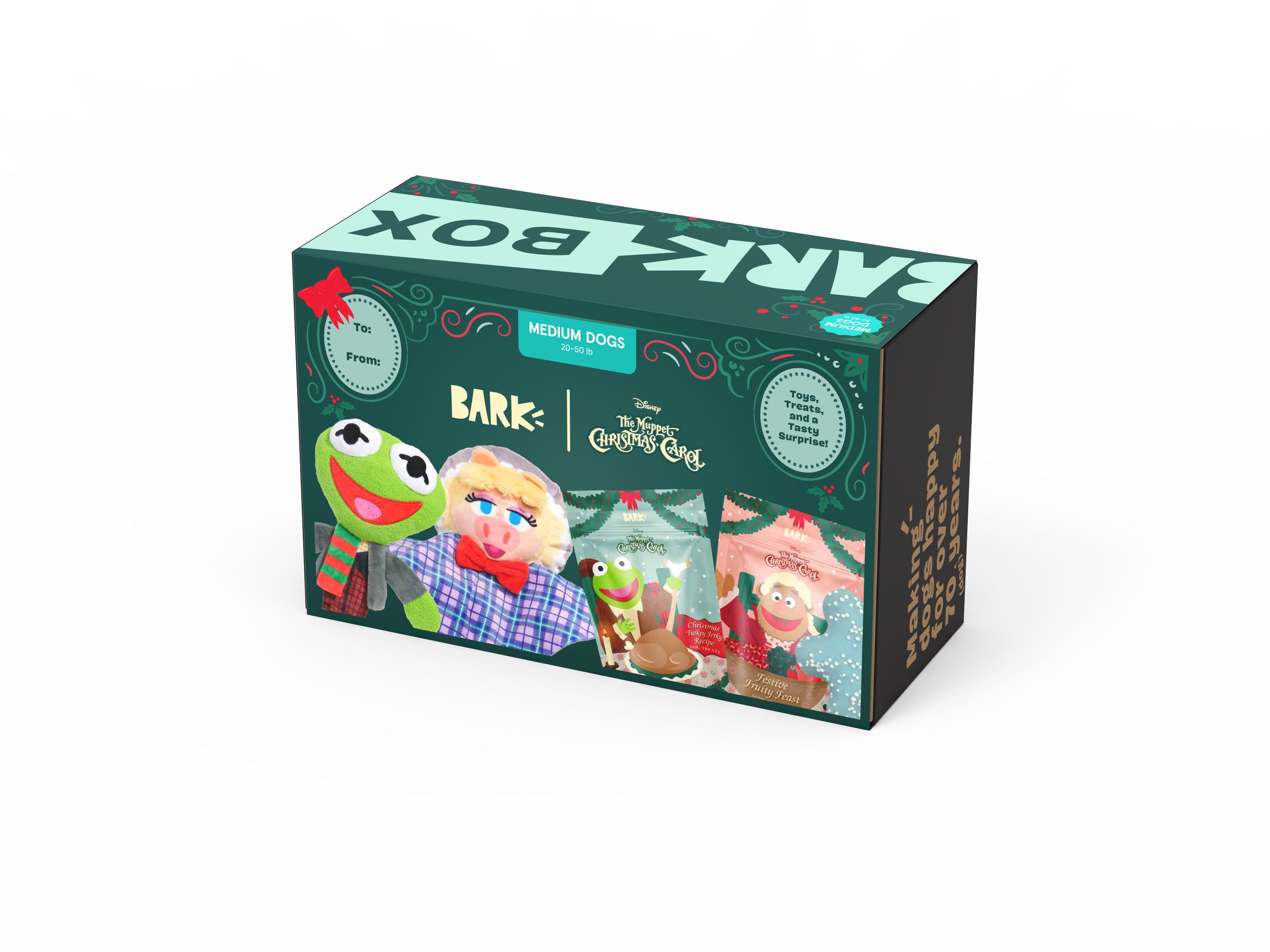 RUDOLPHBB_CARDBOARD_BOX_3D_WITHSLEEVE.526.png