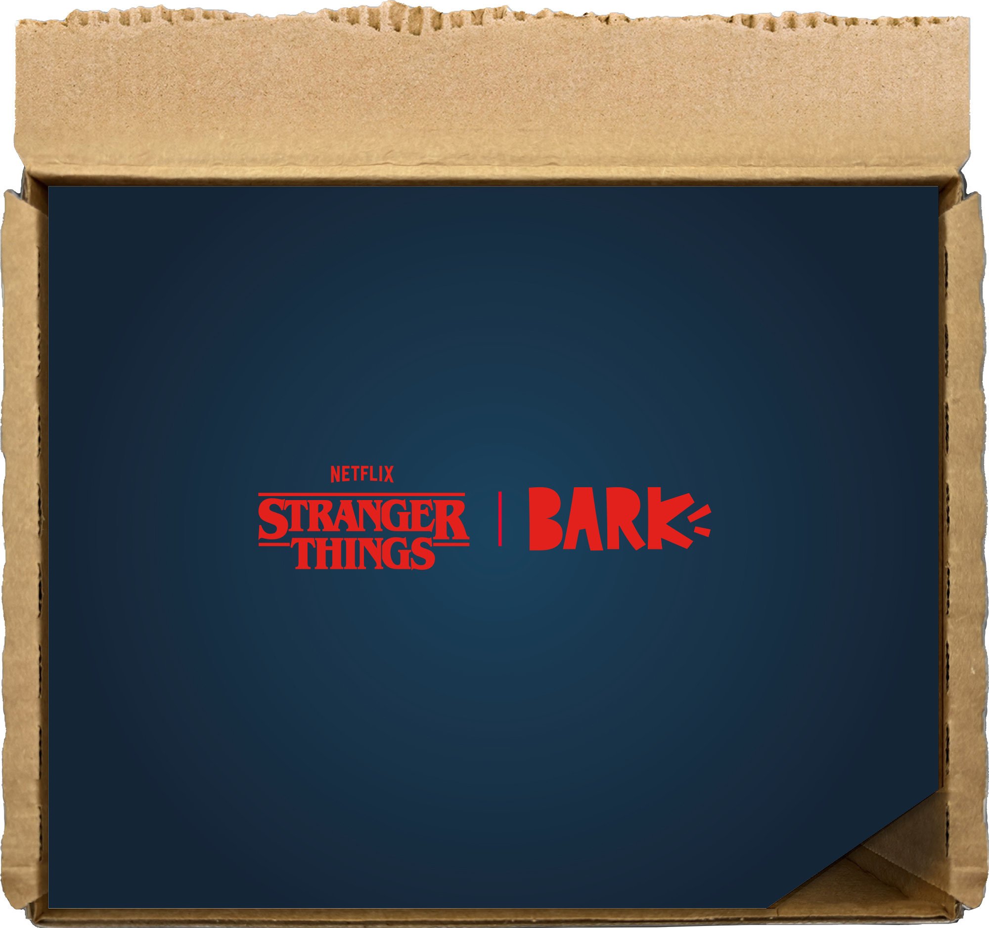 BARK_STRANGER_BOXTOP.jpg