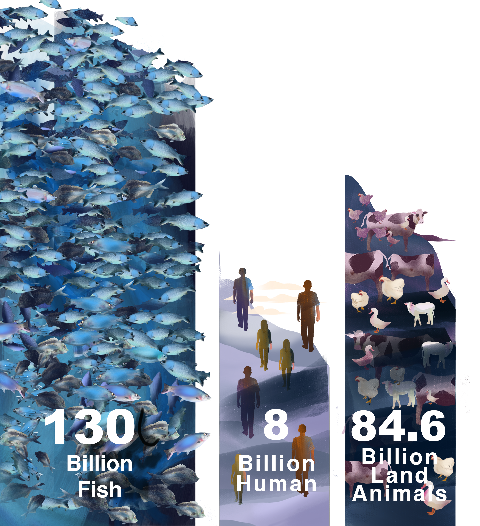 Illustration comparing the biomass of fish, human, land animals, and wild animals with respective figures and labels.