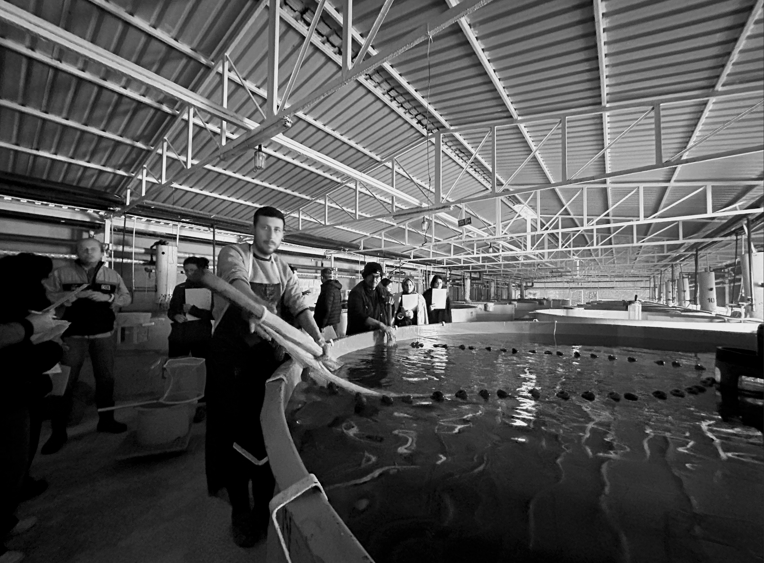 A grayscale image shows a large indoor space with a metal roof and exposed framework. Several people are gathered around a pool of water, observing and participating in an activity. One person is holding a long tube over the water, and others are watching or assisting. The atmosphere appears to be industrial or a warehouse setting, possibly during a workshop or demonstration.