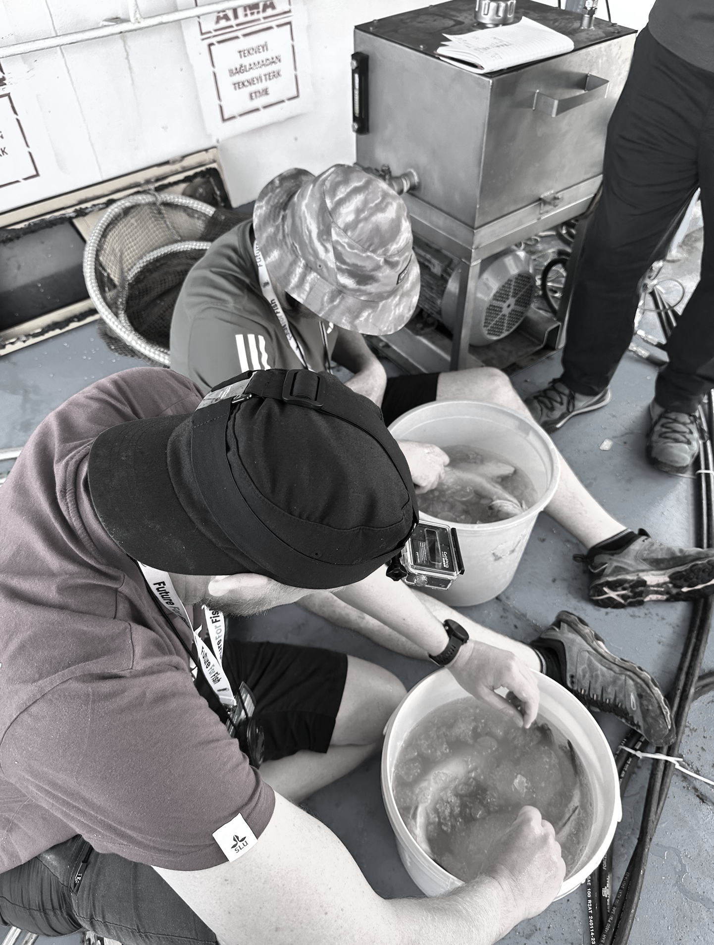 Two people, one sitting and one kneeling, are working with a bucket of fish on a concrete floor. The person sitting is wearing a camouflage hat, black shorts, and a T-shirt, while the kneeling person has a black cap and is holding a fish. A fish processing machine and another person standing nearby are also visible.