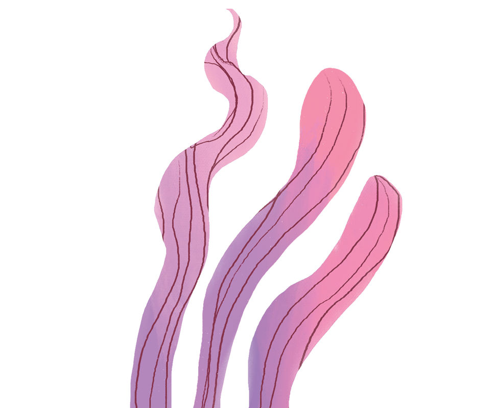 Abstract illustration of pink, wavy, elongated shapes with black outline on a black background.