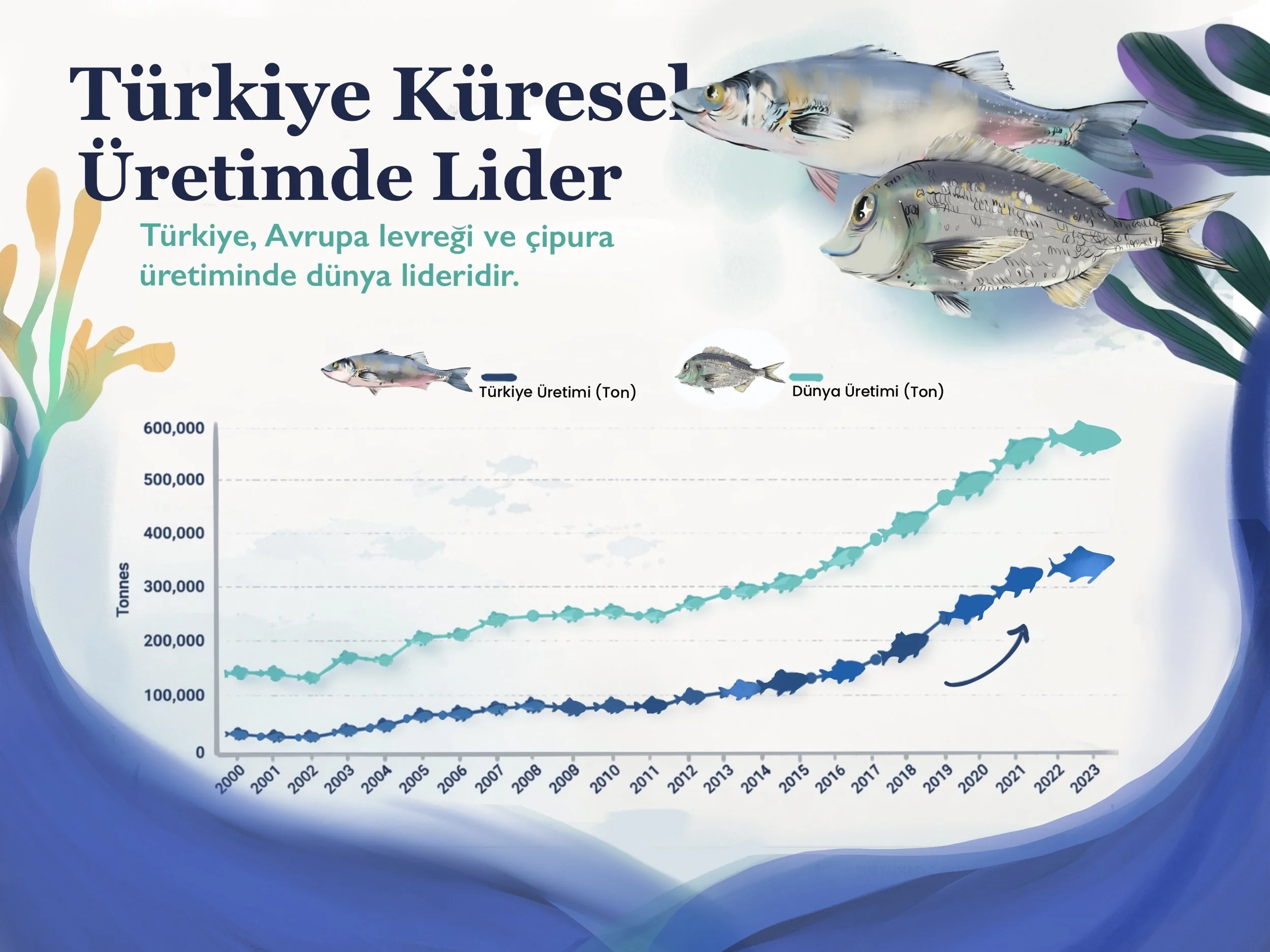 Türkiye'nin ve dünyanın balık üretimini gösteren grafik. Grafik üzerinde balık resimleri ve üretim miktarlarına ilişkin veriler yer alıyor. Türkiye'nin üretim miktarlarının zamanla arttığını gösteren çizgi grafik bulunuyor.