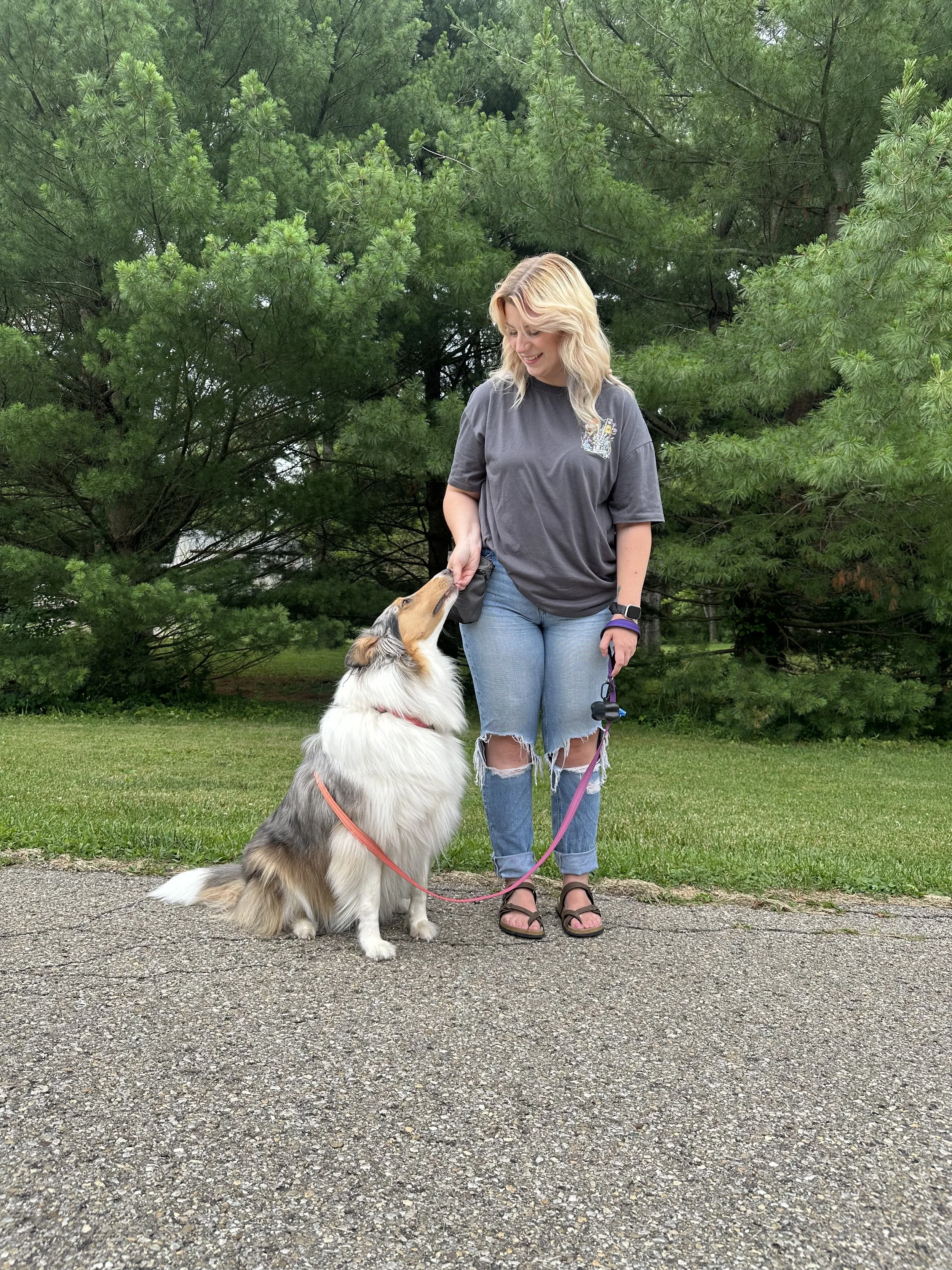 Positive reinforcement dog training