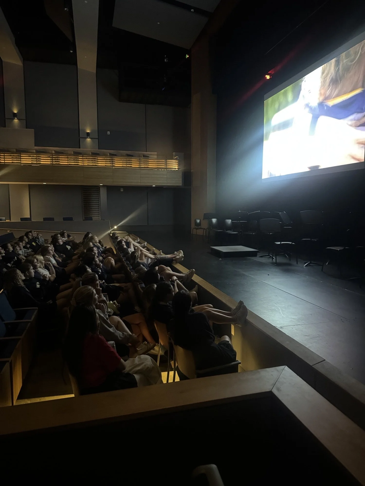 People sitting in a dark theater watching a movie or presentation on a large screen.