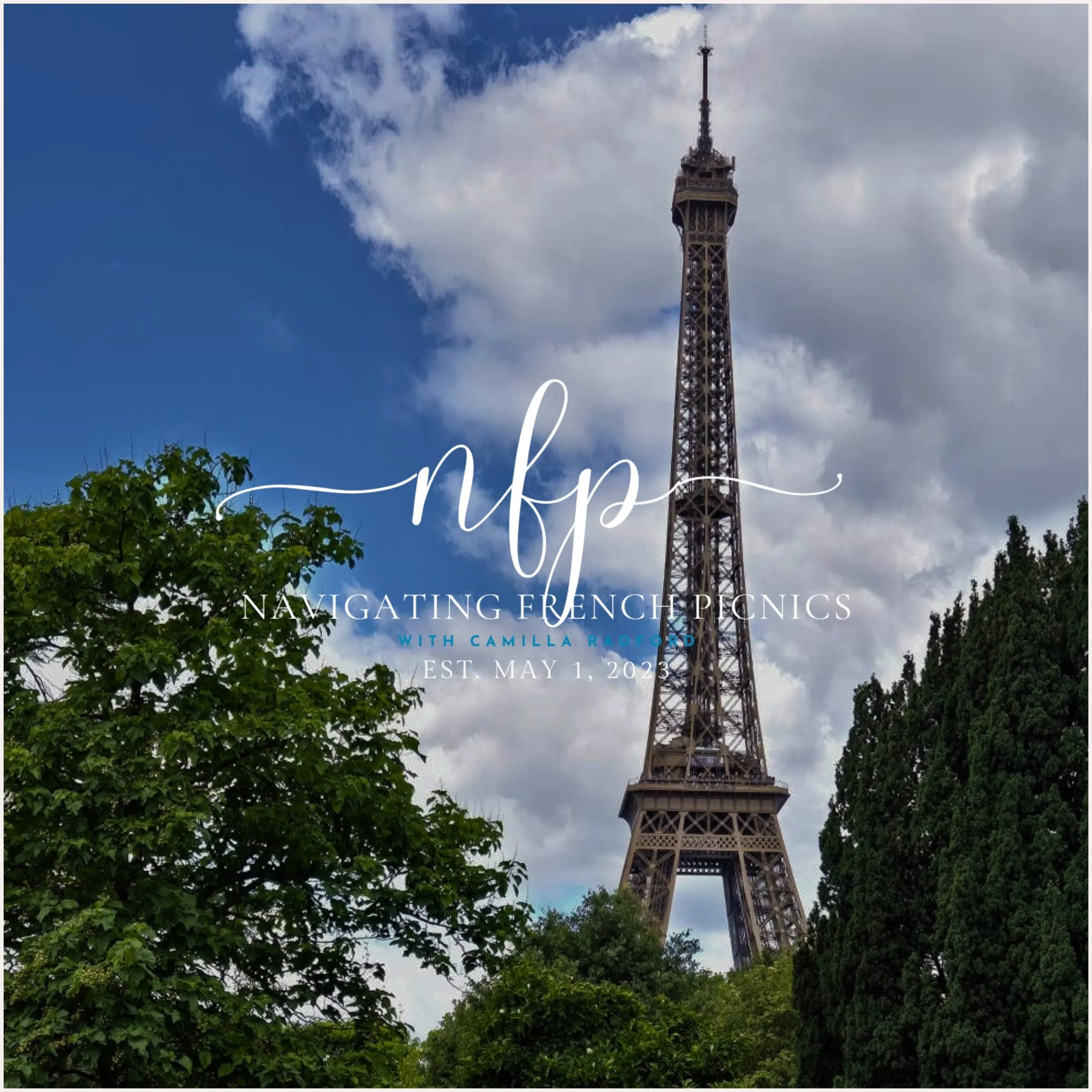 Navigating French Picnics & Wines
