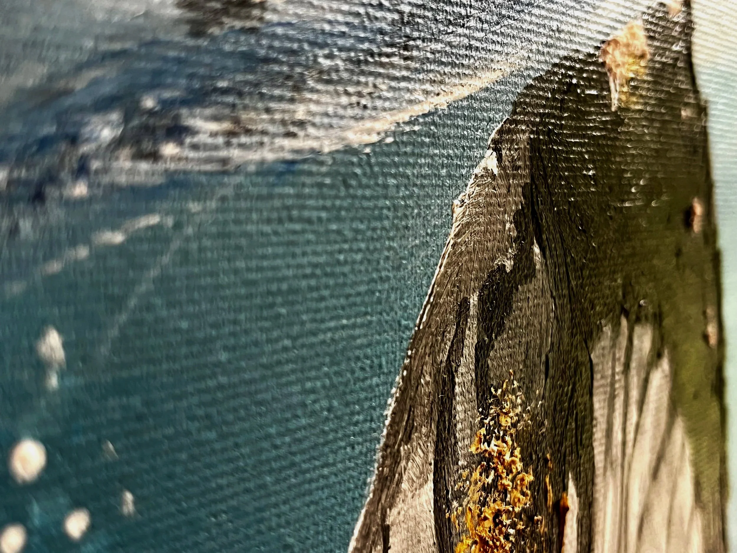 Strukturdetails mit goldenen Elementen auf Walschnauze Andeutung von Wellengang im Übergang Unterwasserszene zu tobender Wasseroberfläche