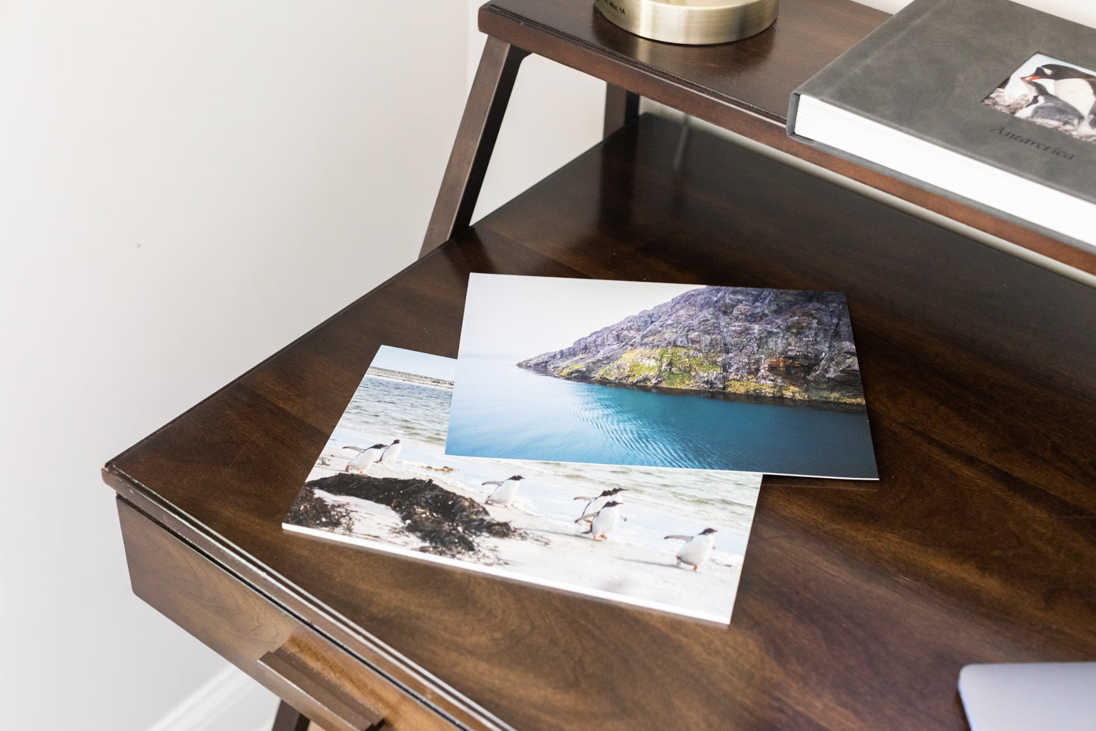 Photographs of coastal landscapes featuring rocky shores, water, and penguins on the beach, placed on a dark wooden table with a nearby bookshelf.