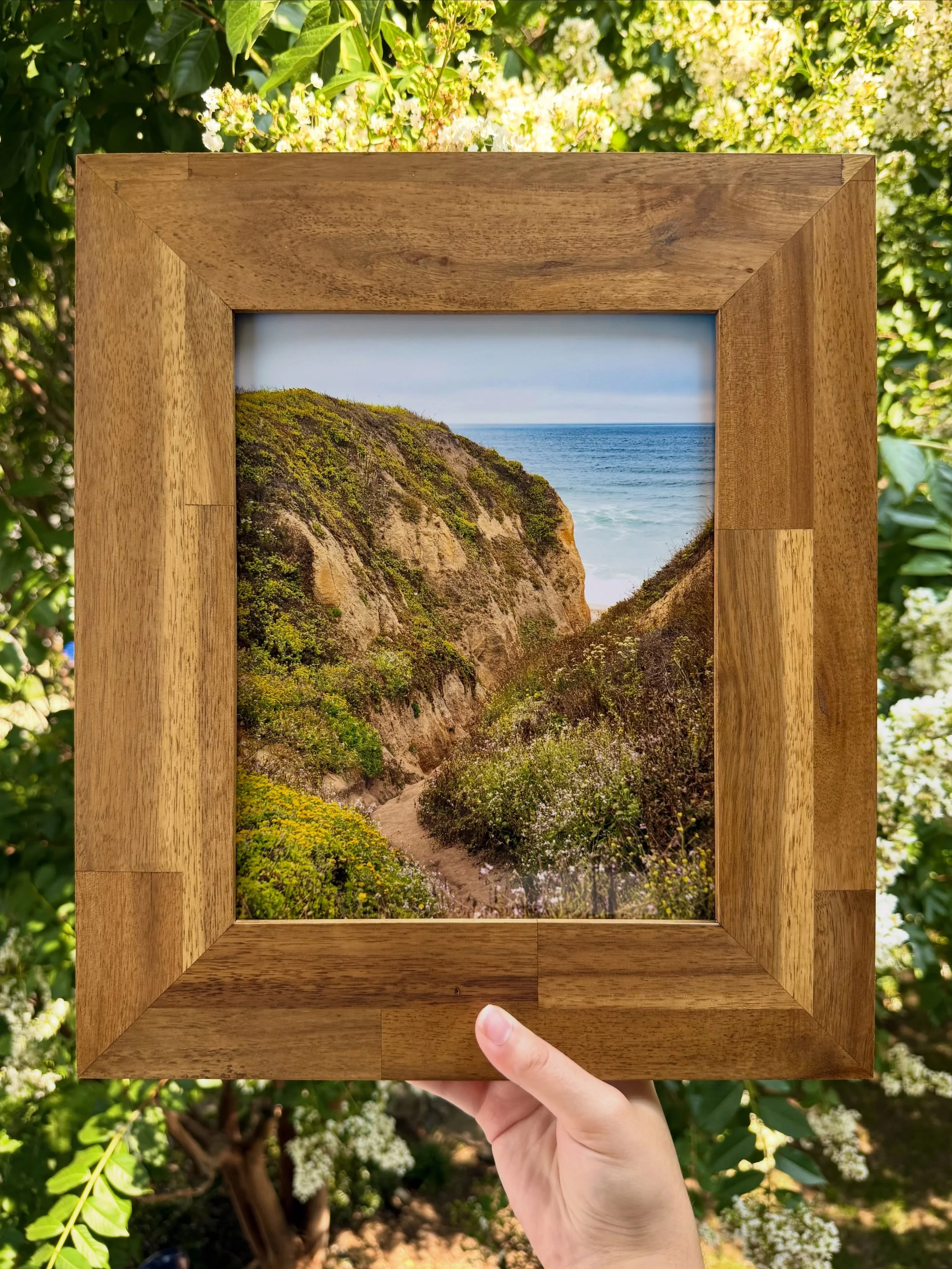 one of my favorite framed photos and the one that gets the most attention at shows!! this little path was on the side of the road in Montara Beach California along the skyline drive 🪻🌷🌻 travis and I tackled the very slippery path down to the beach