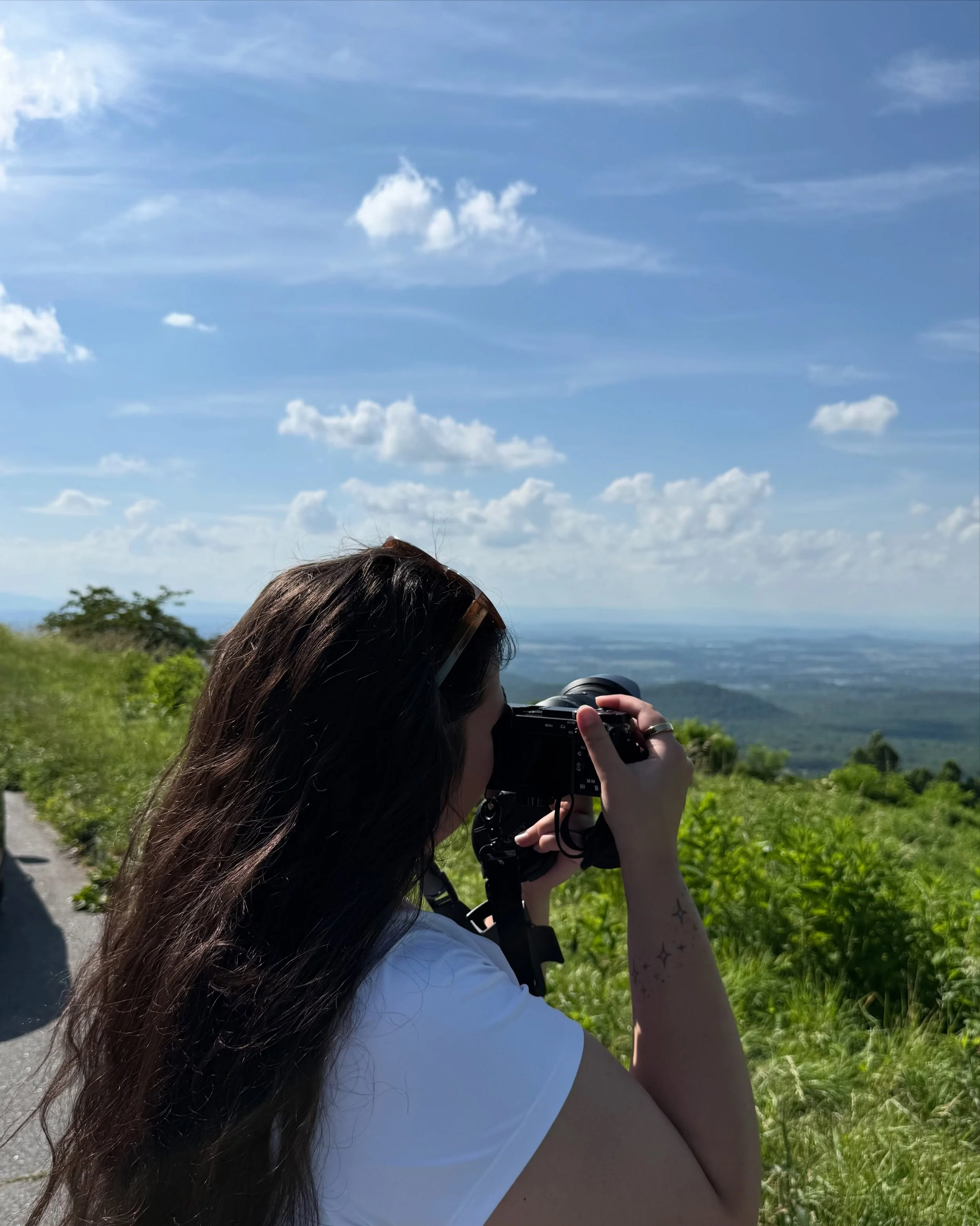 Moments from the Blue Ridge and Smoky Mountains!! ⛰️☀️🌲

#photographer #photos #artist #travel #landscape