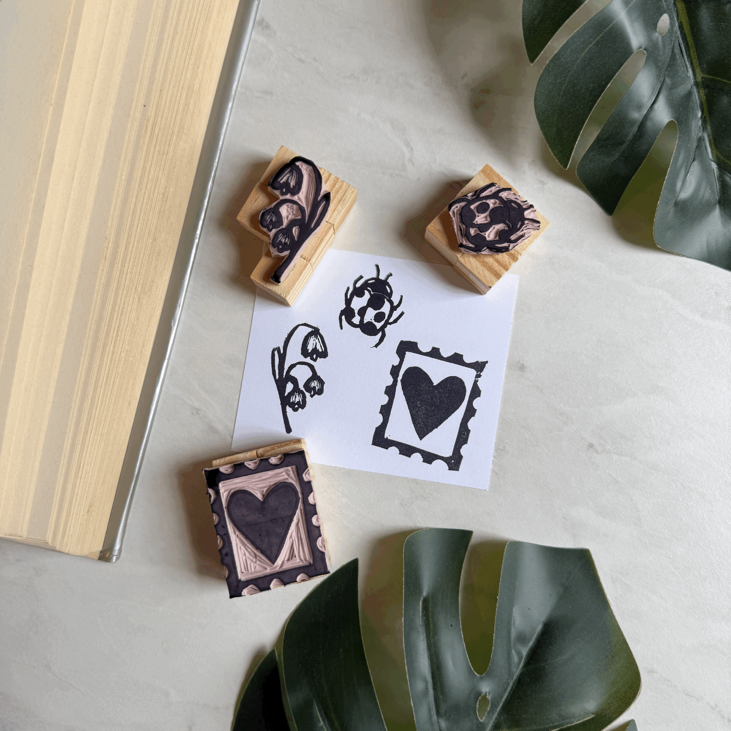 tempImage3uaxxR.gif