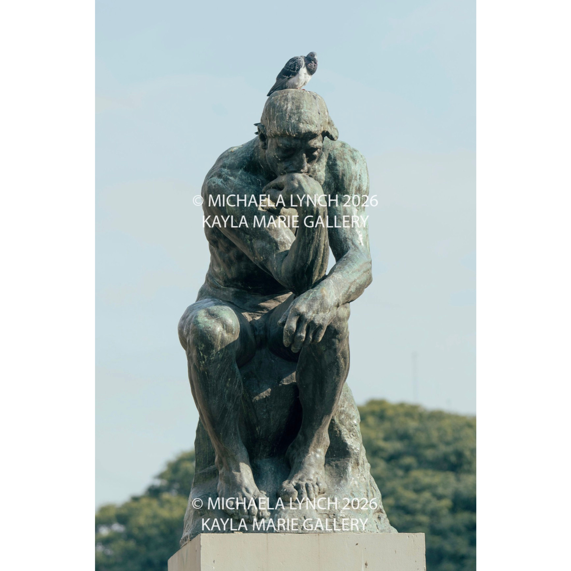 The Thinker and His Bird