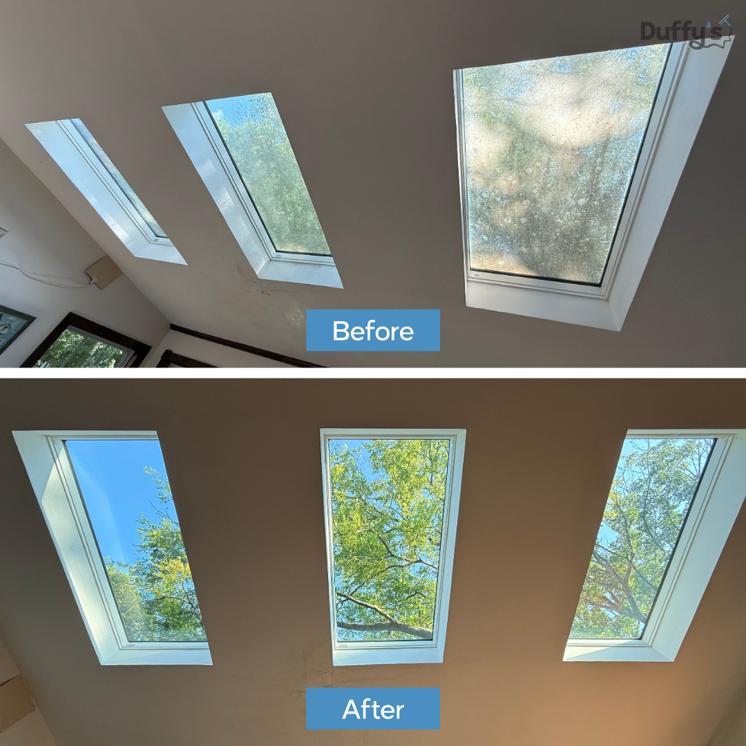 Comparison of three skylights on a ceiling before and after cleaning and landscaping. The 'before' skylight is dirty and cloudy, while the 'after' skylight is clear, showing bright blue sky and green tree branches.