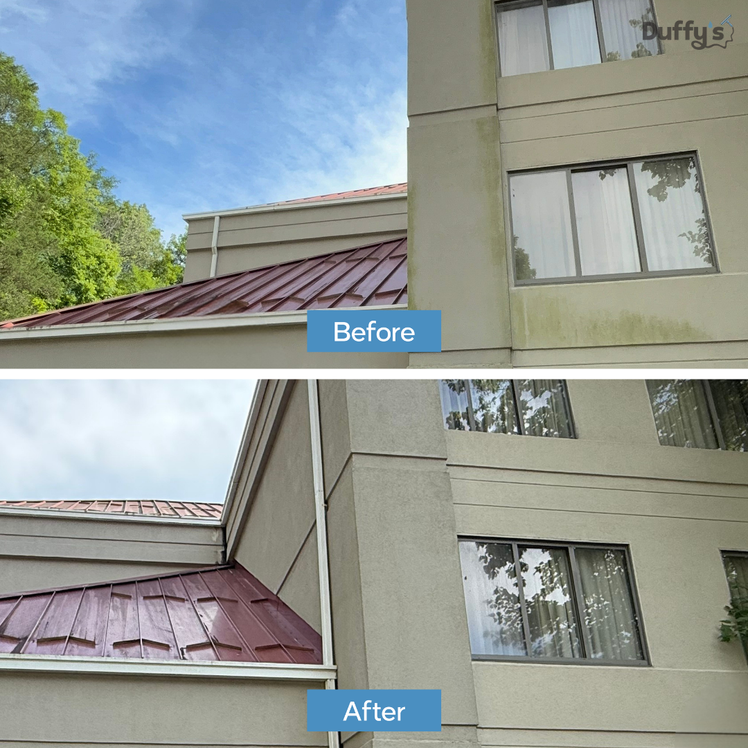 Comparison of a building corner before and after cleaning or renovation, with the "before" showing moss and dirt on the wall, and the "after" showing a clean, restored wall surface.