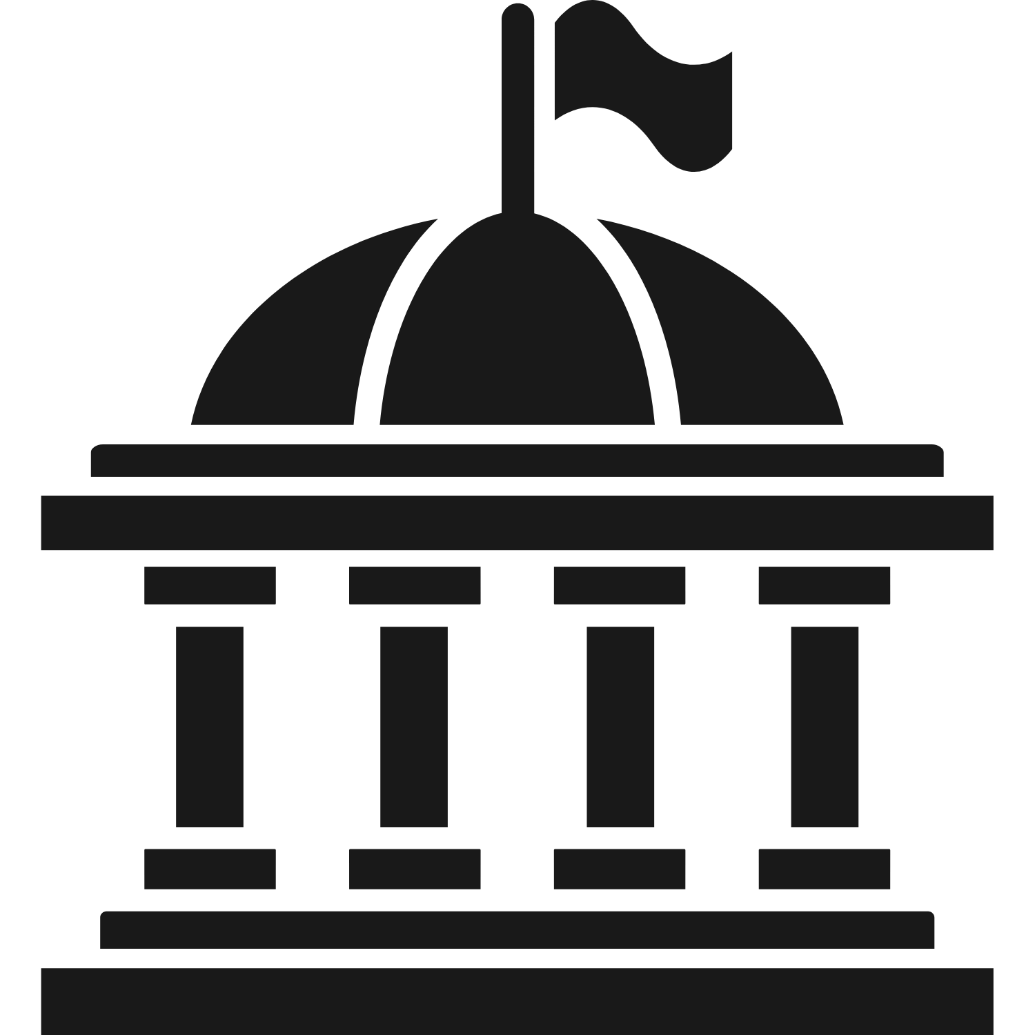 Local Government