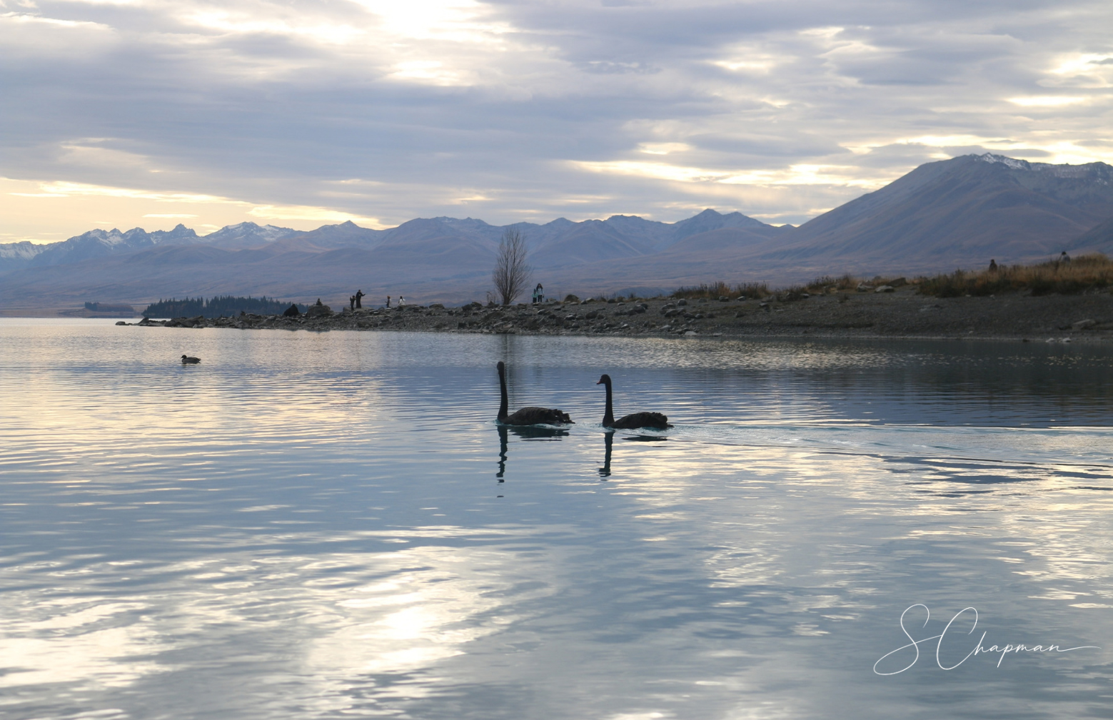 Morning Glide