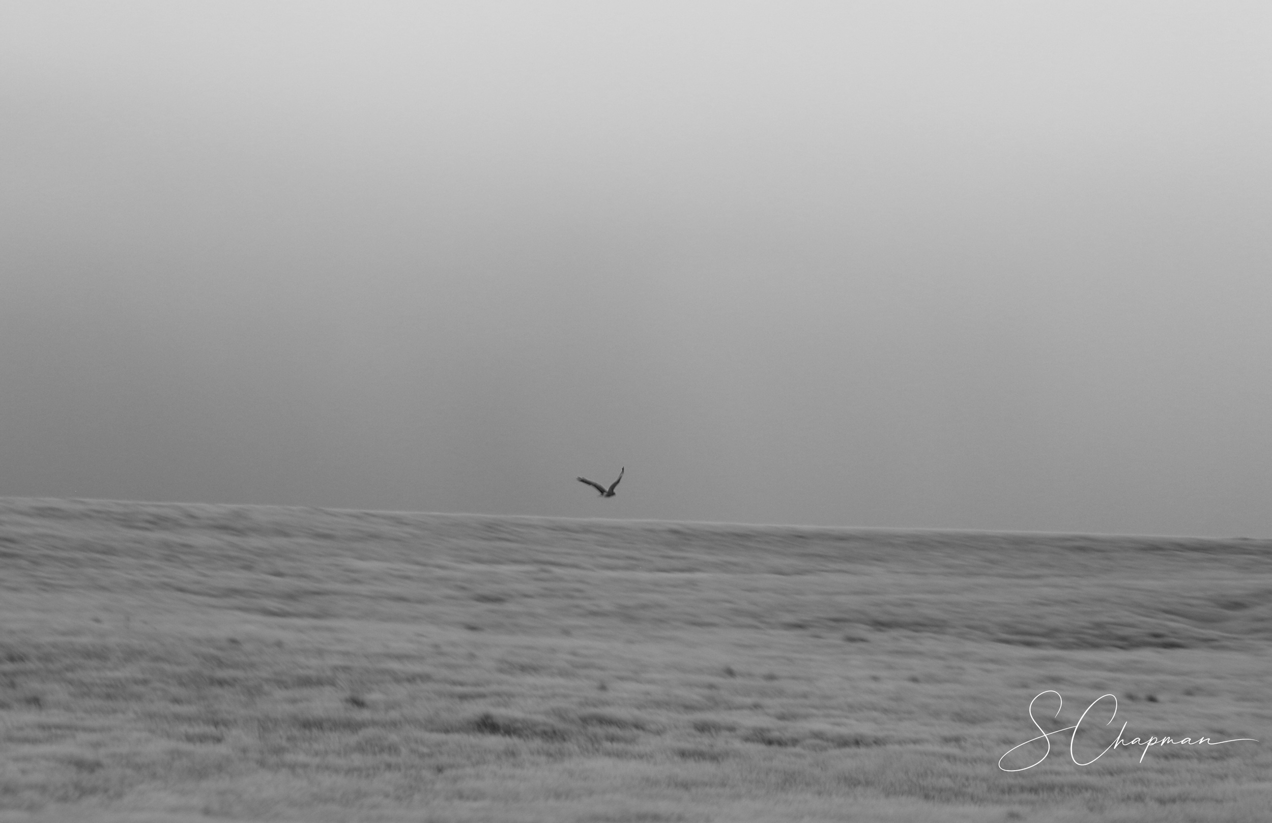 Solitude
