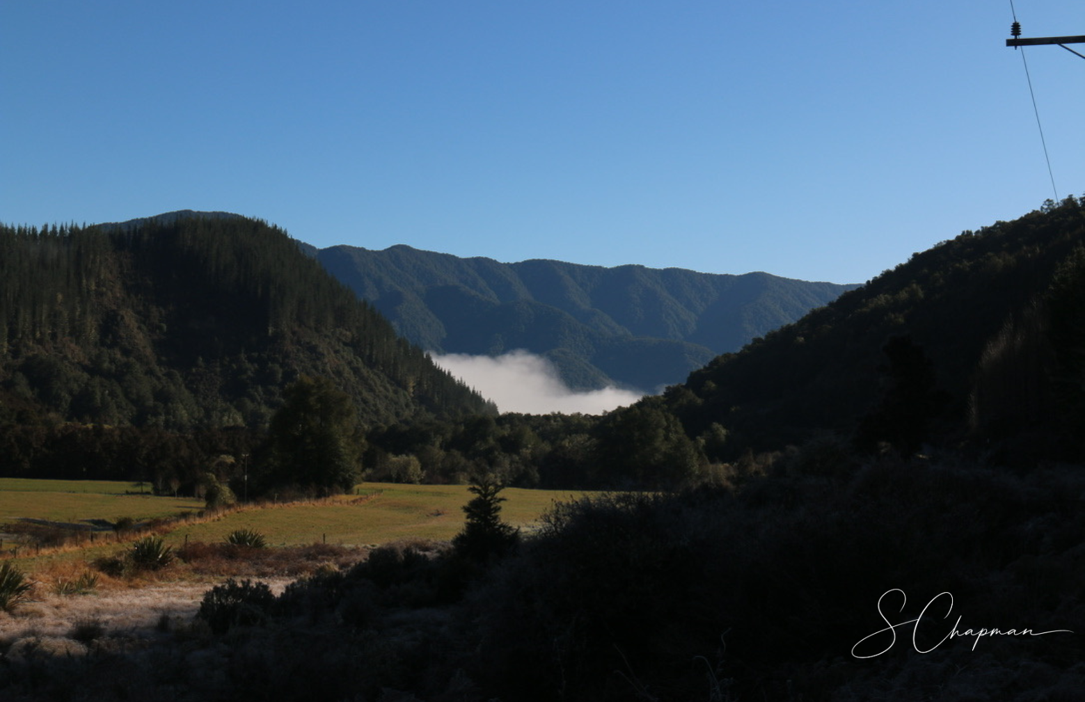 Misted Valley
