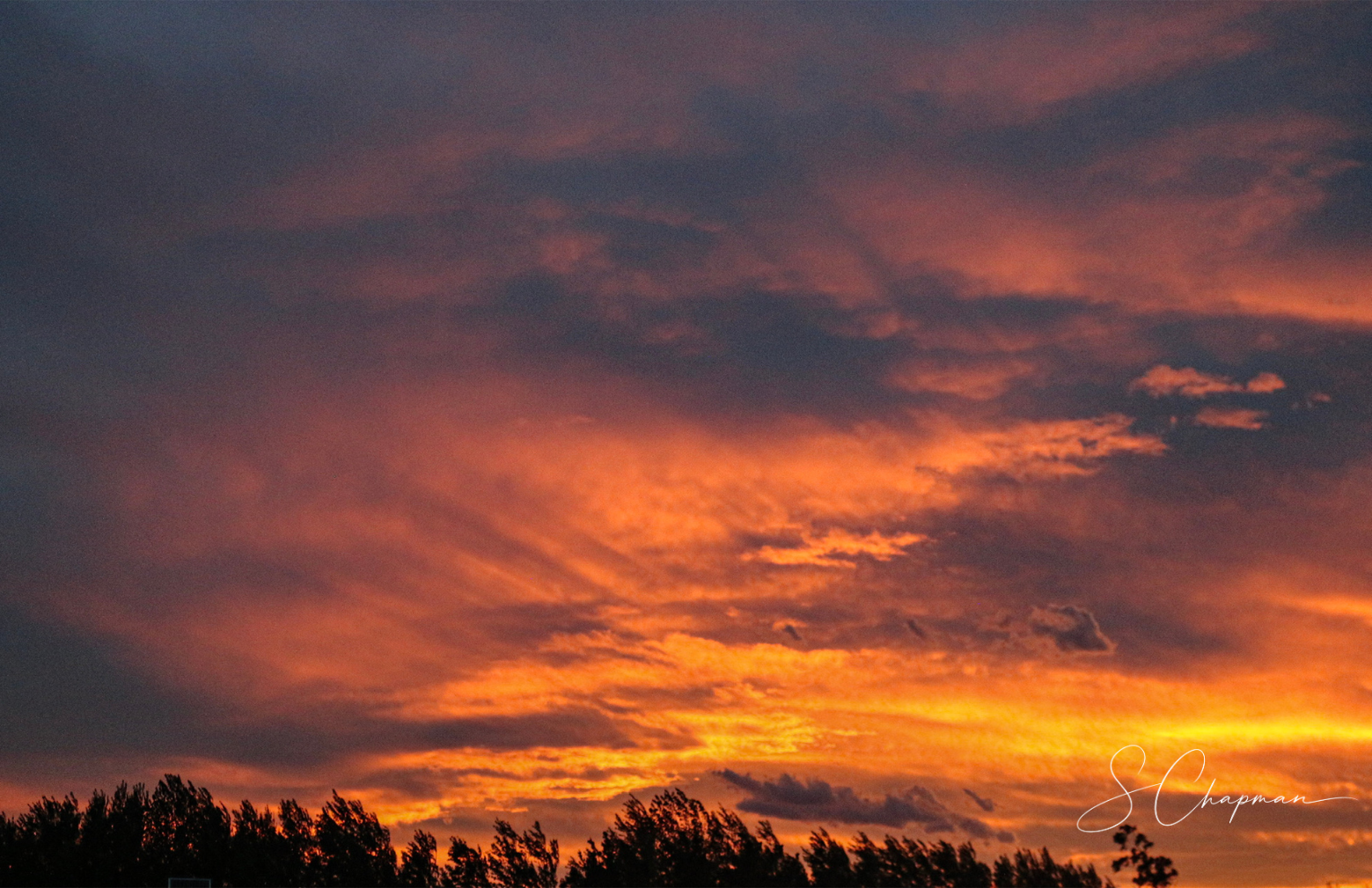 Embers Above