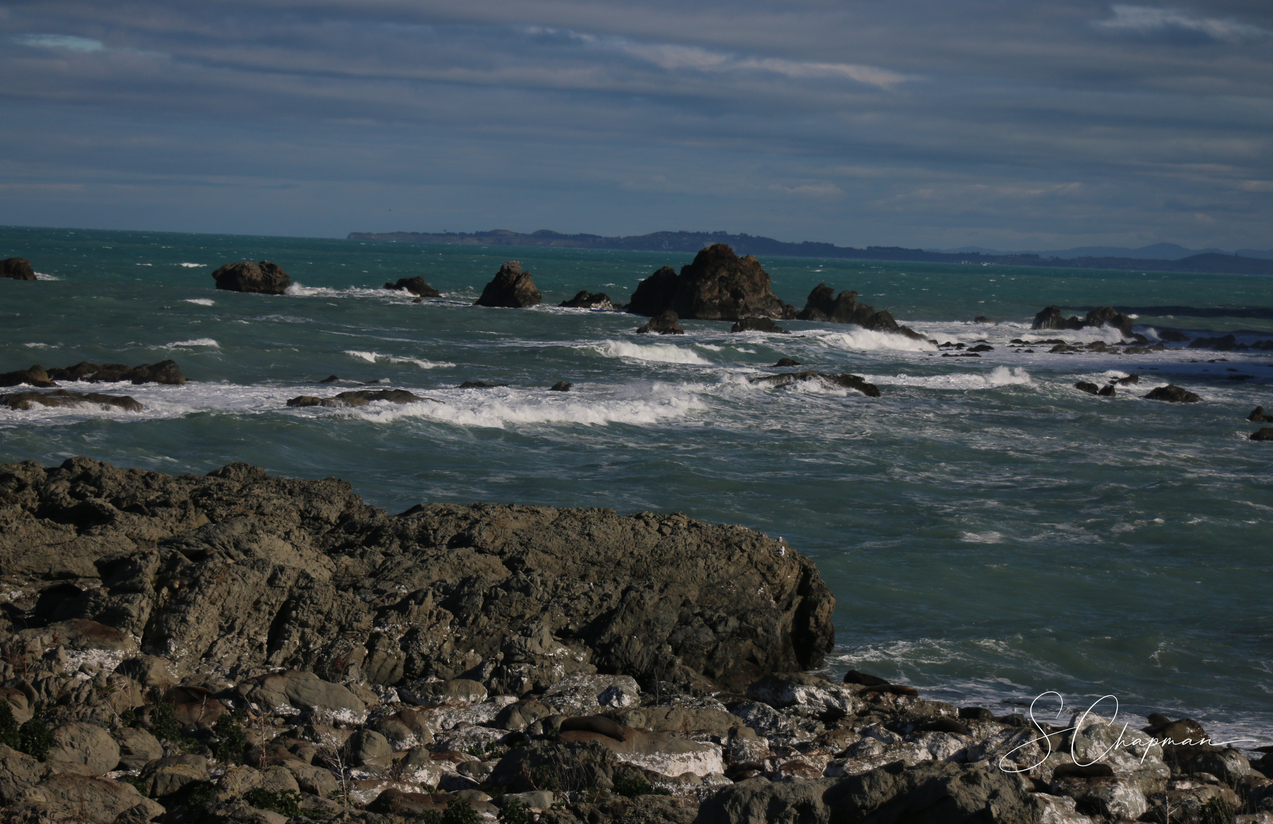 Ocean & Stone
