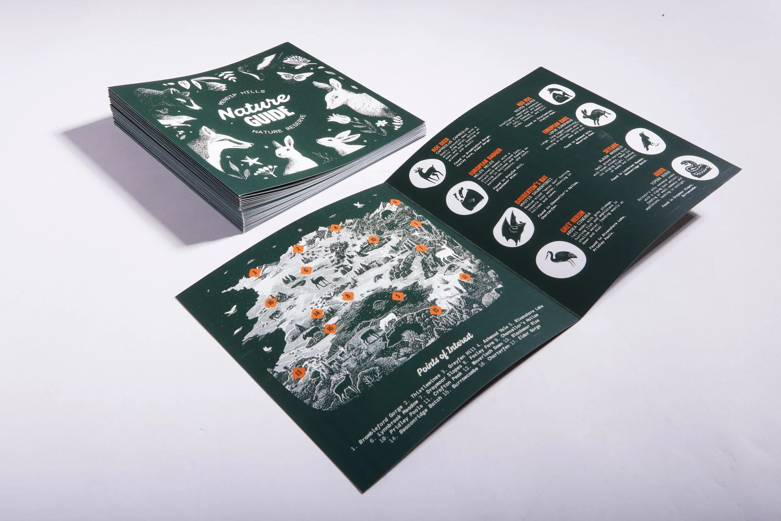 Square half fold leaflet