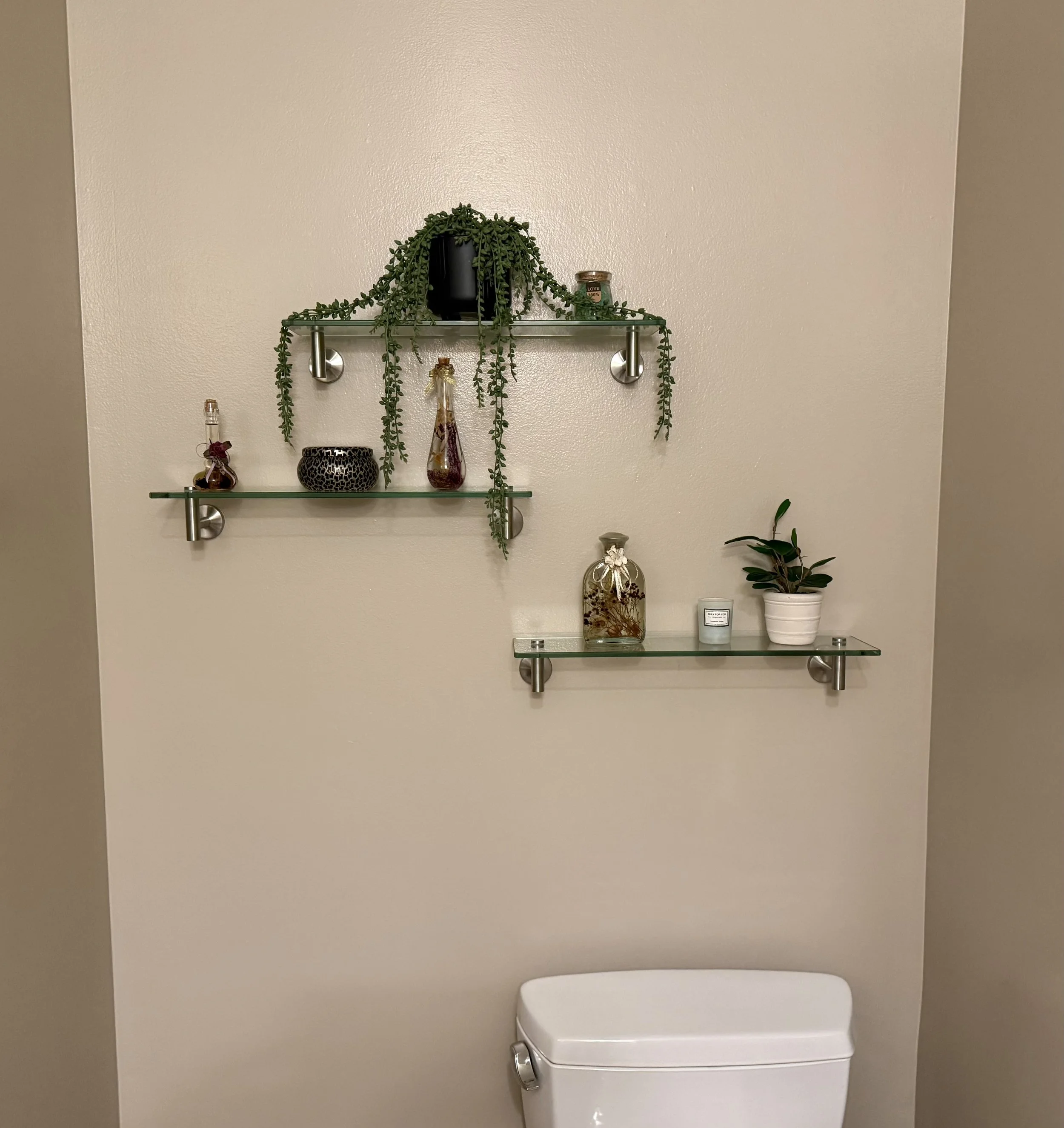 A bathroom wall with two glass shelves above a white toilet, decorated with a potted plant, a candle, and decorative bottles.