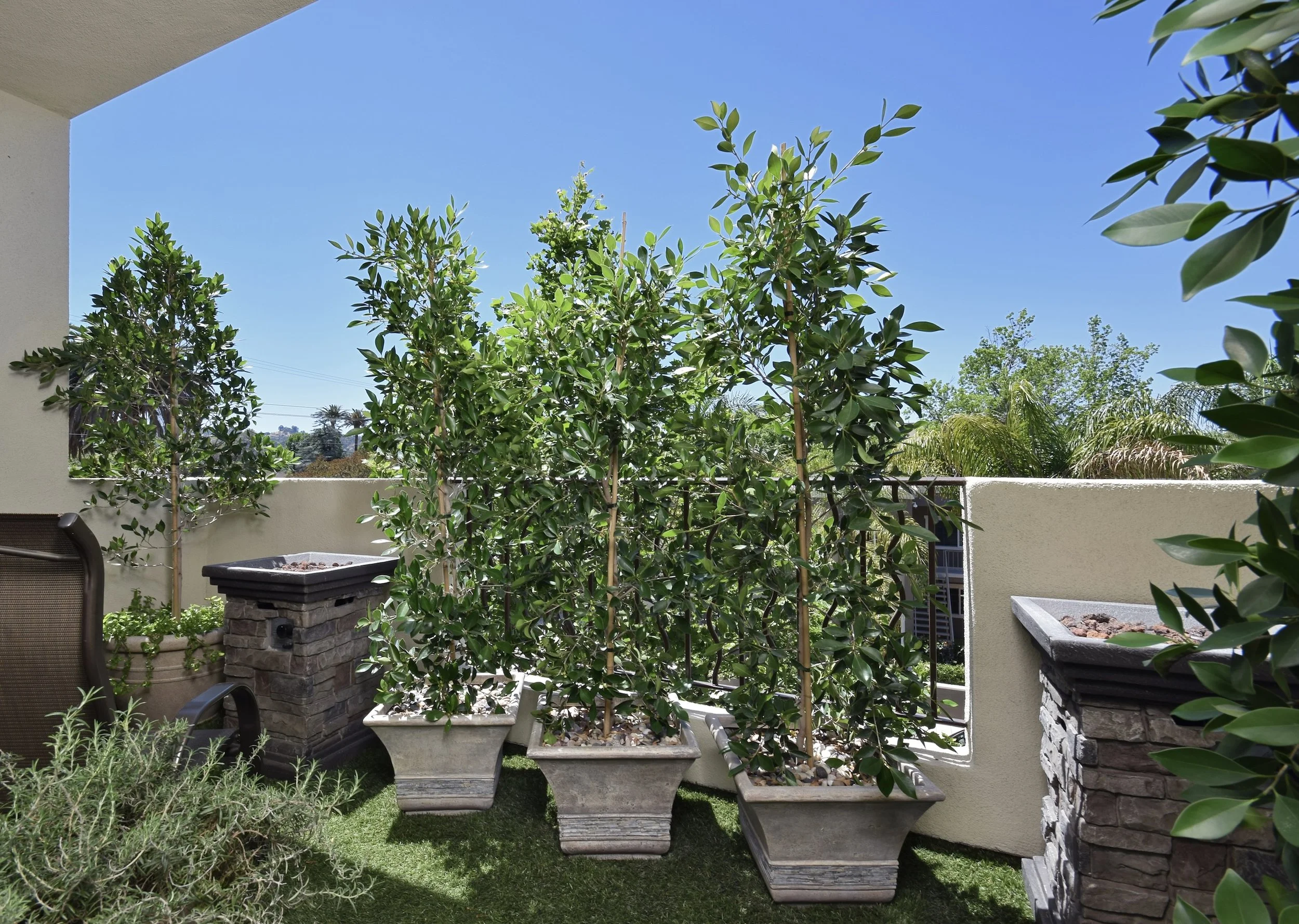 View of potted plants and green trees on a balcony with a white railing, blue sky in the background, and part of a house wall visible.