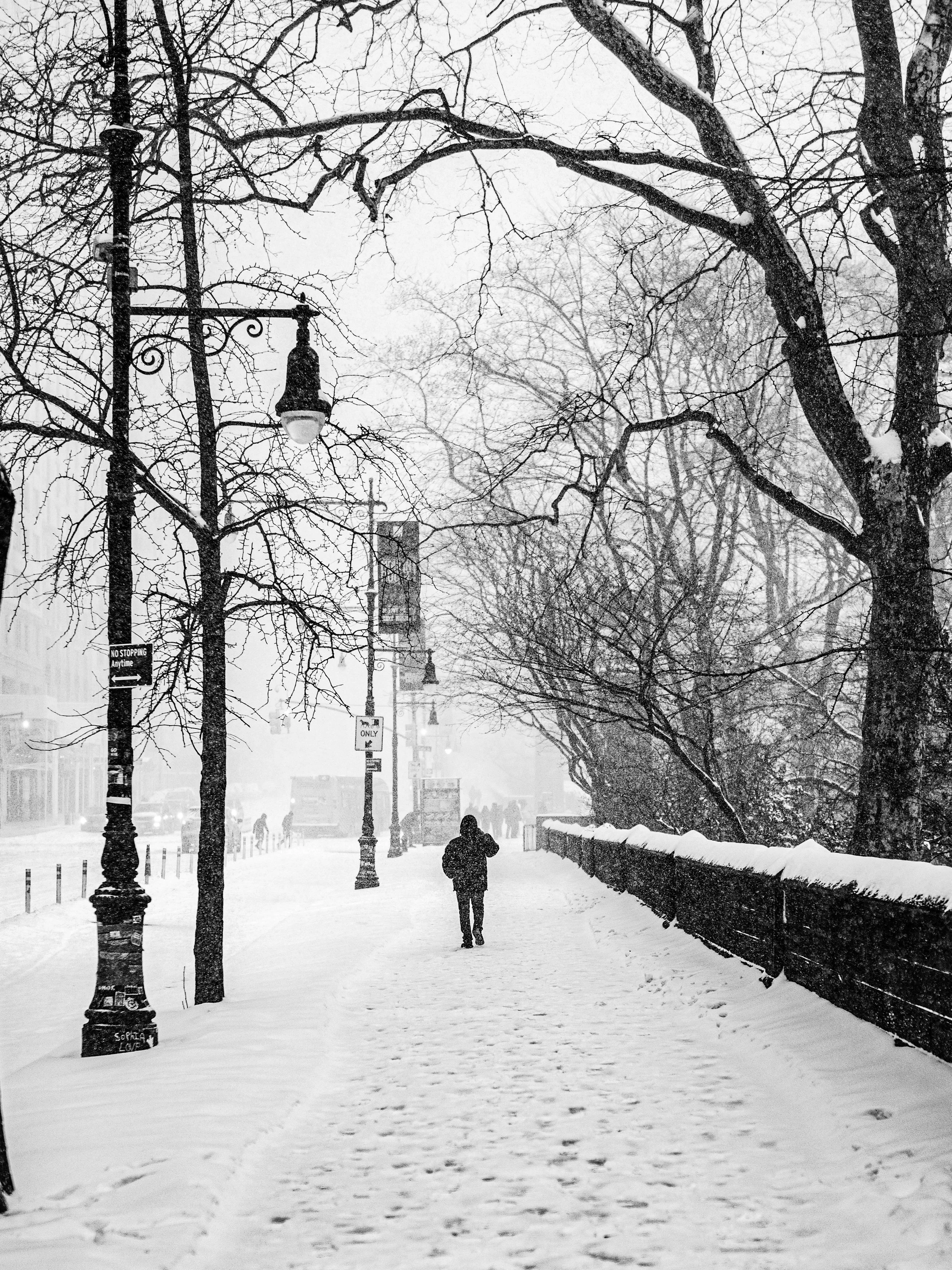 Central Park, NYC