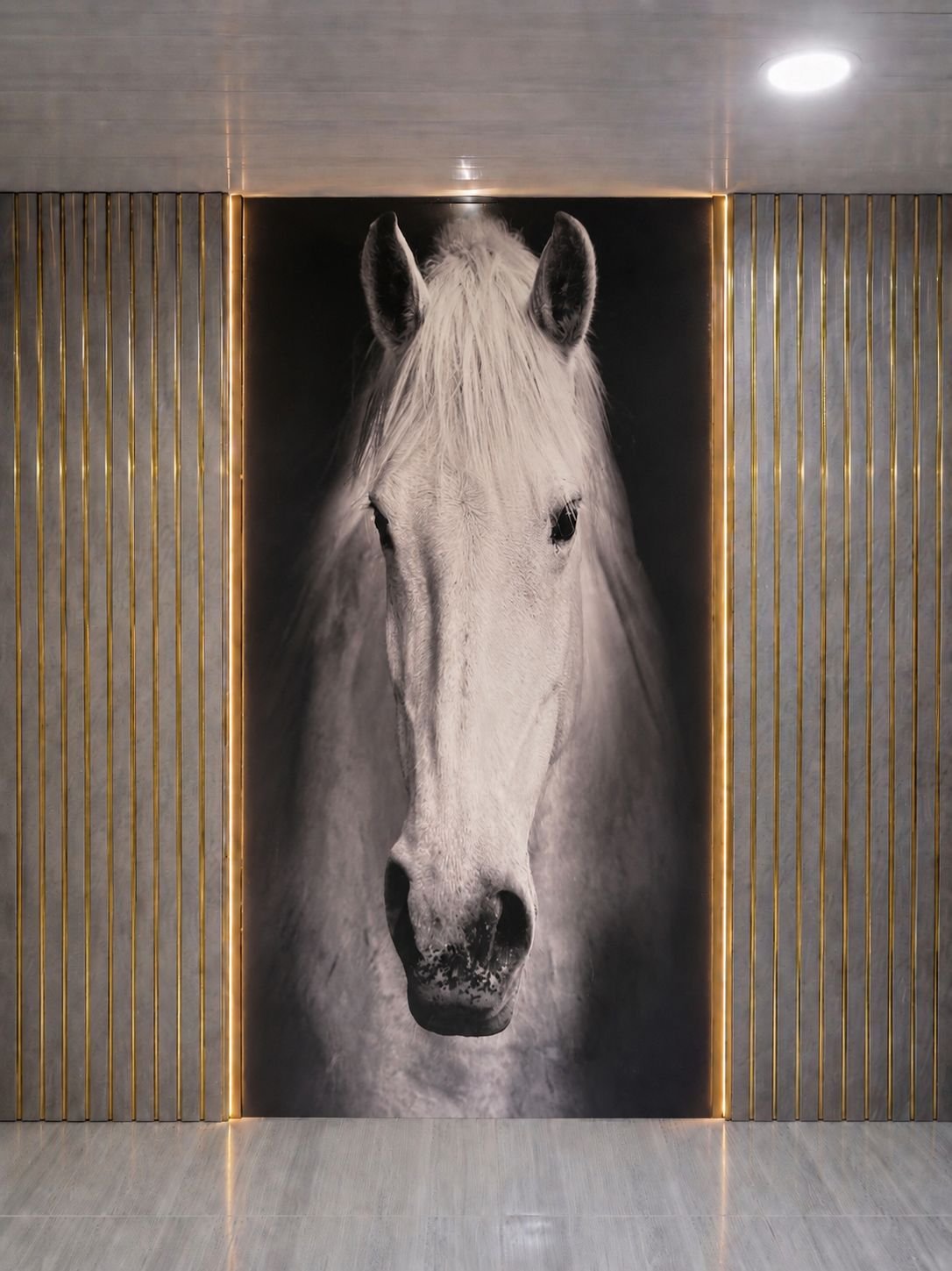 Caballo