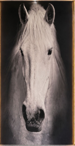 LAMINA SOLA C.png