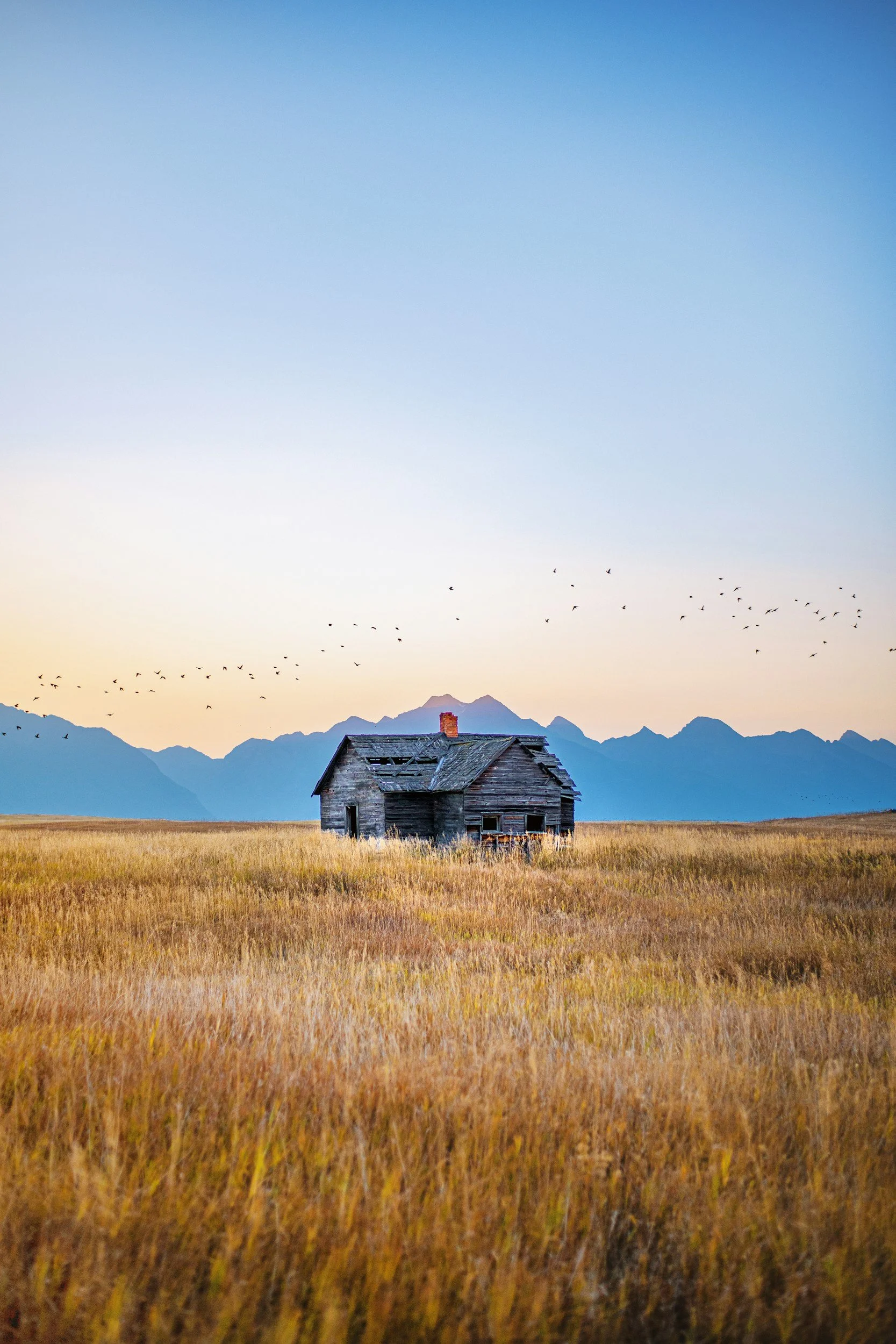 An old, beautiful wooden house in a yellow field with mountains in the background under a pastel sunset sky