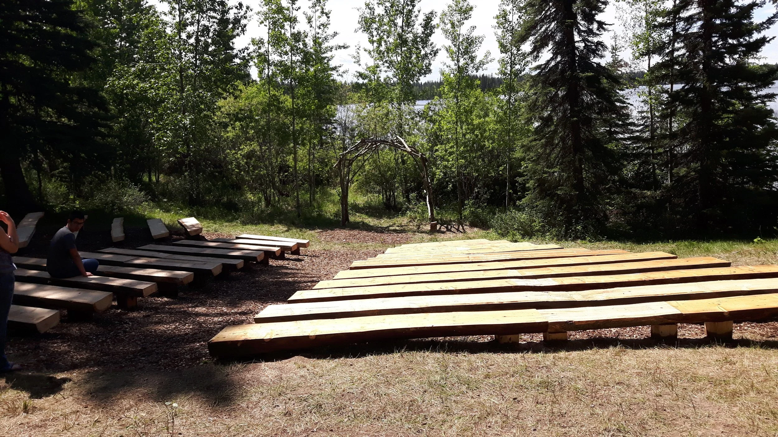 Sunny glade in forest with log amphitheater style seating.