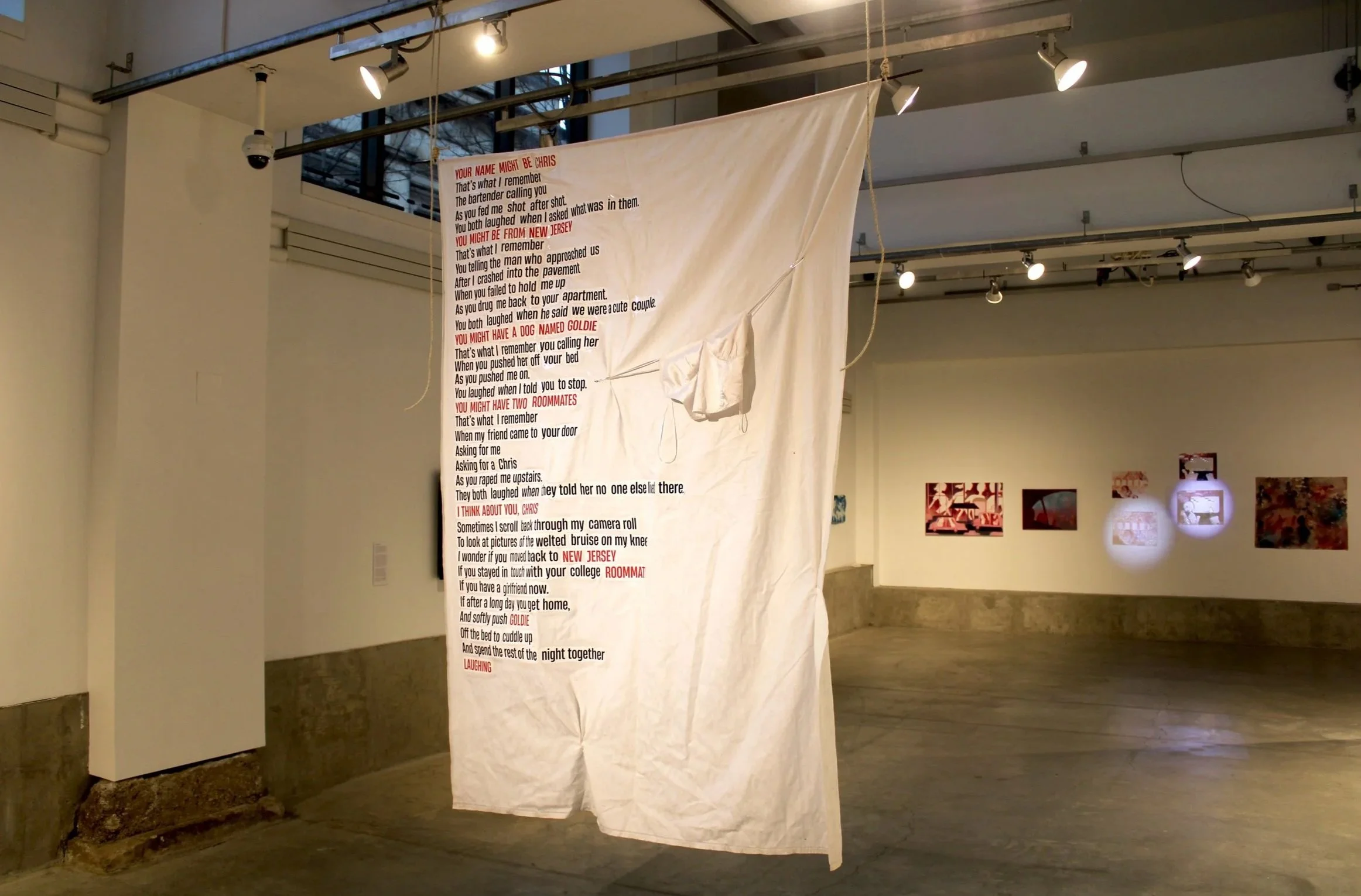 An art installation with a large white fabric sheet hanging from the ceiling, featuring printed text in red and black. The background shows a gallery wall with multiple small framed pictures, and the space is illuminated by track lighting with severa