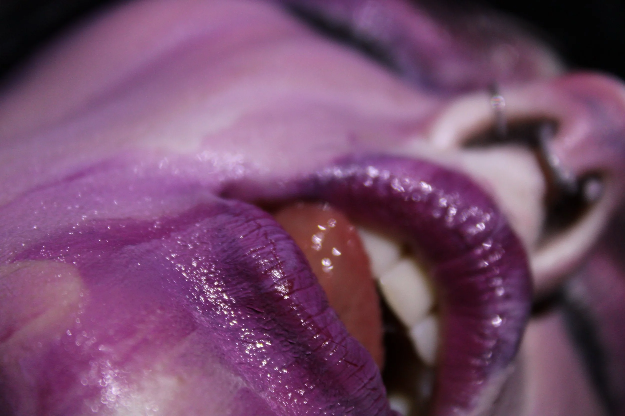 Close-up of a person applying purple lipstick, showing the lips and part of the face with a blurred background.