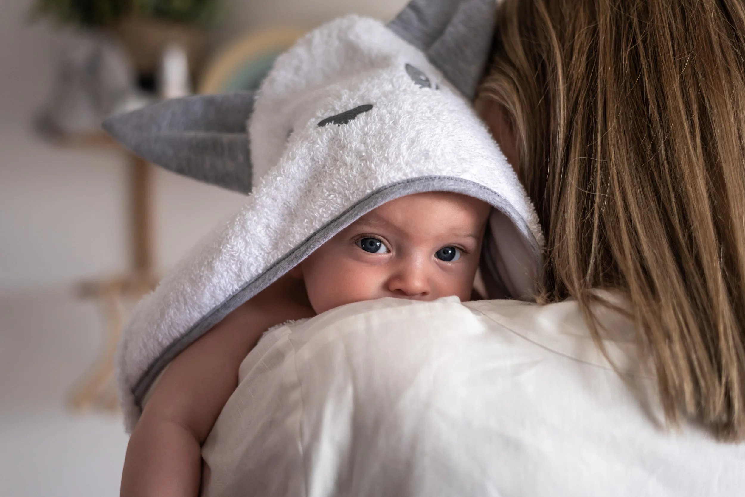 baby bunny hooded towel design