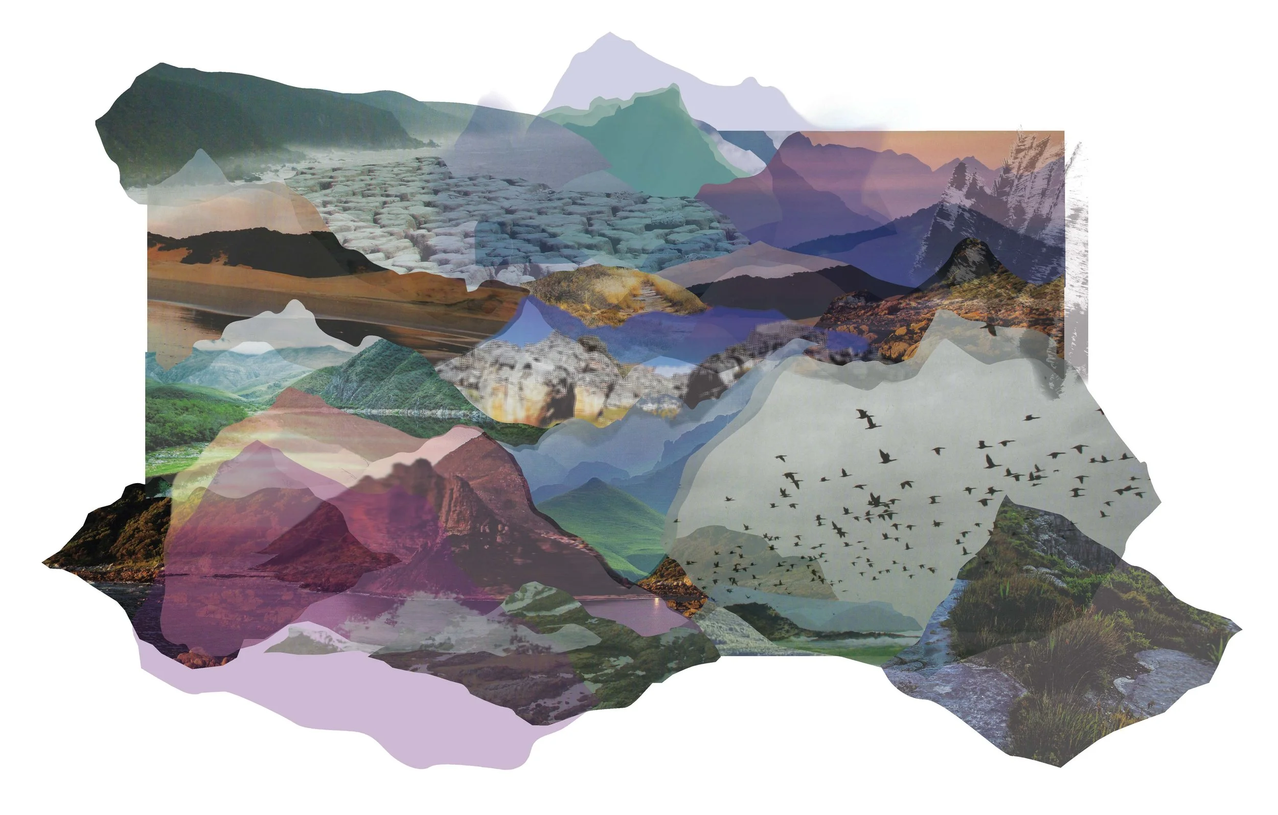 Composite landscape image featuring mountains, lakes, forests, rivers, and a flock of birds in flight, created with overlapping silhouettes and photographs. This was the inspiration and starting point for the design for the leggings product.