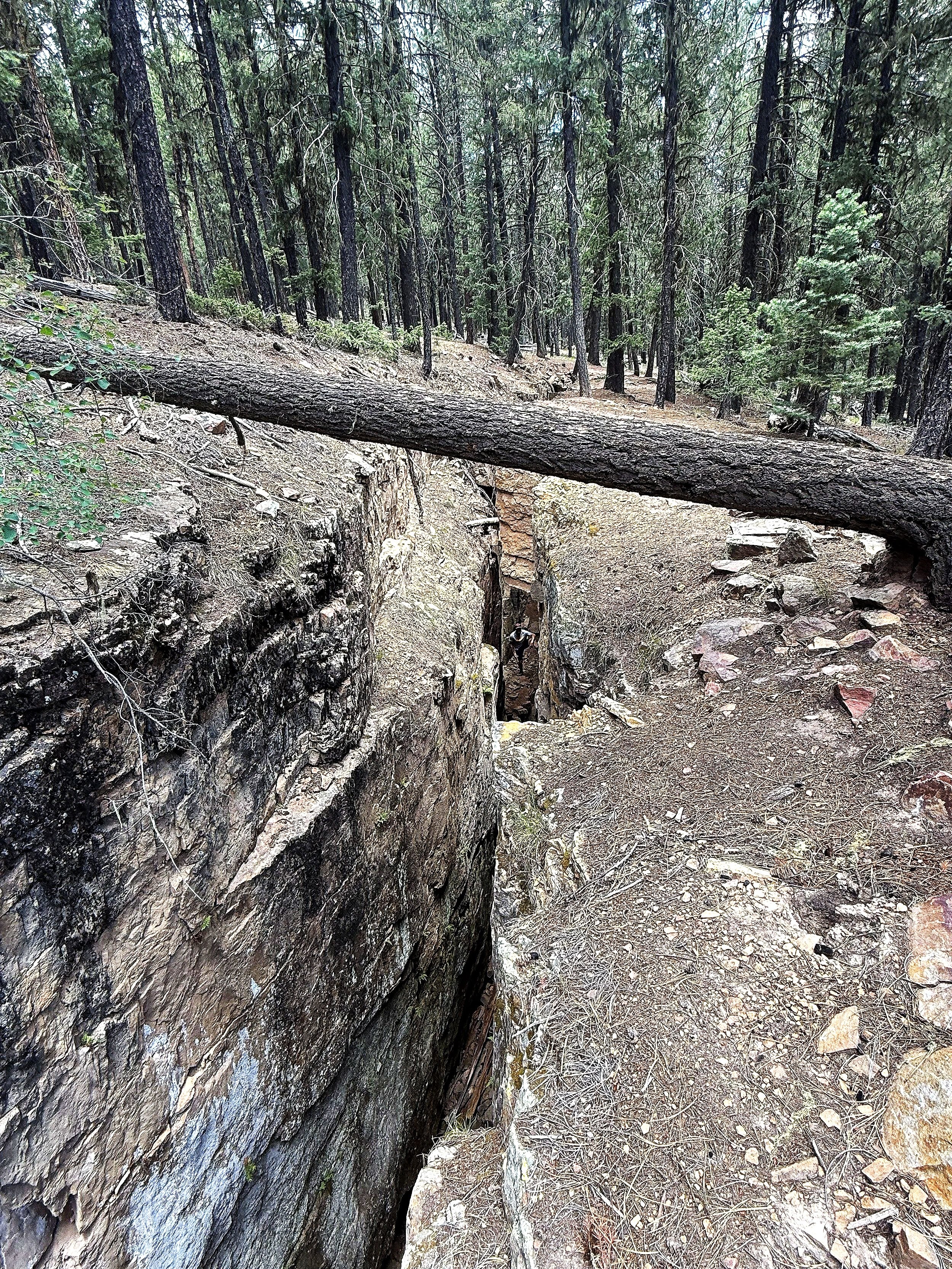 Ice Fissures at Piedra River Trail 