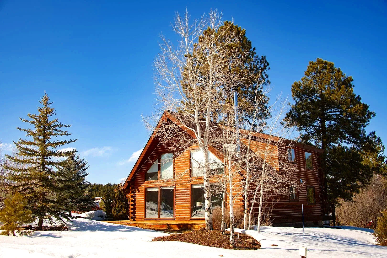 A mountain house with large front windows surrounded by leafless and evergreen trees on snow-covered ground under a clear blue sky.