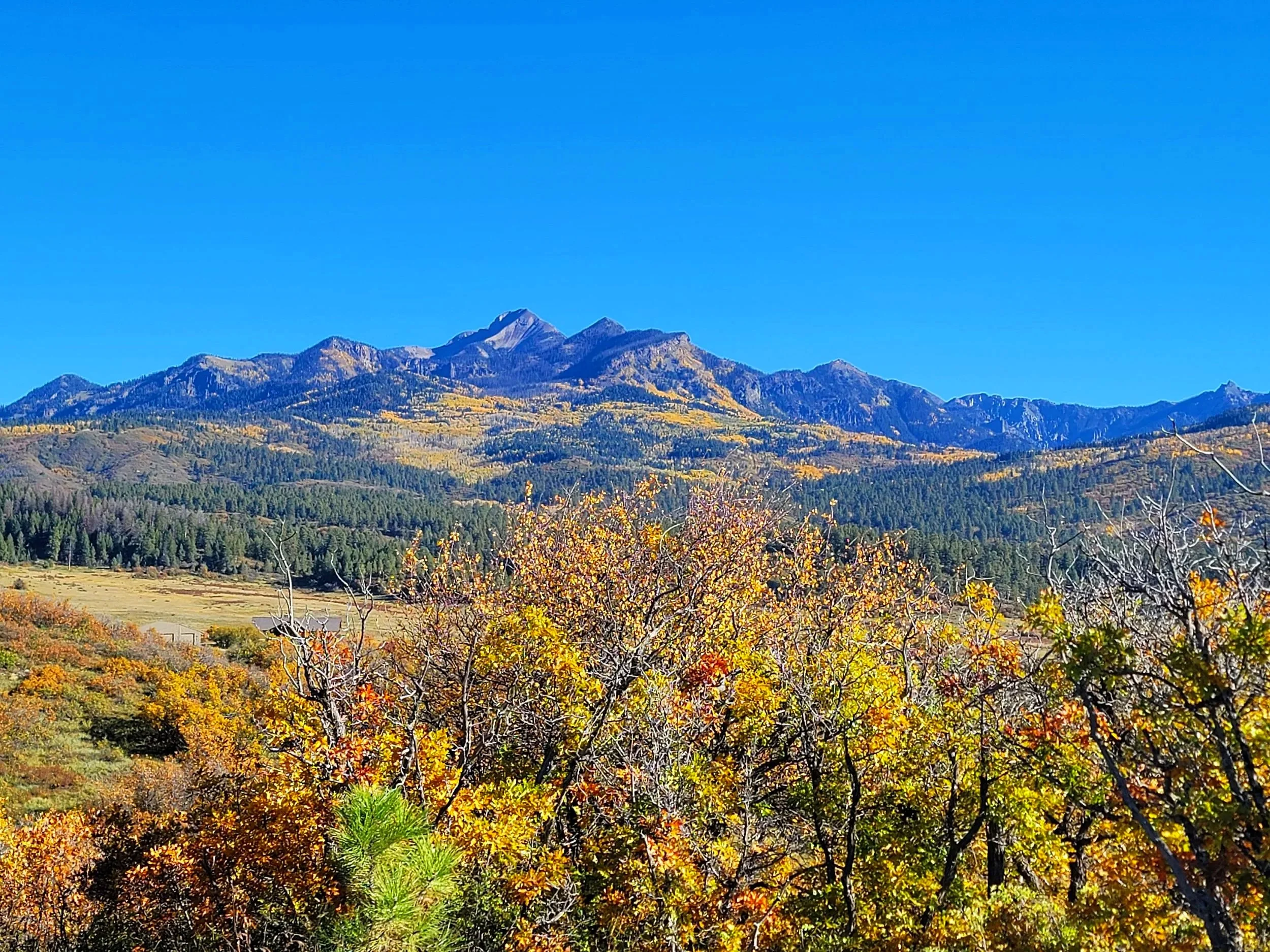 FALL