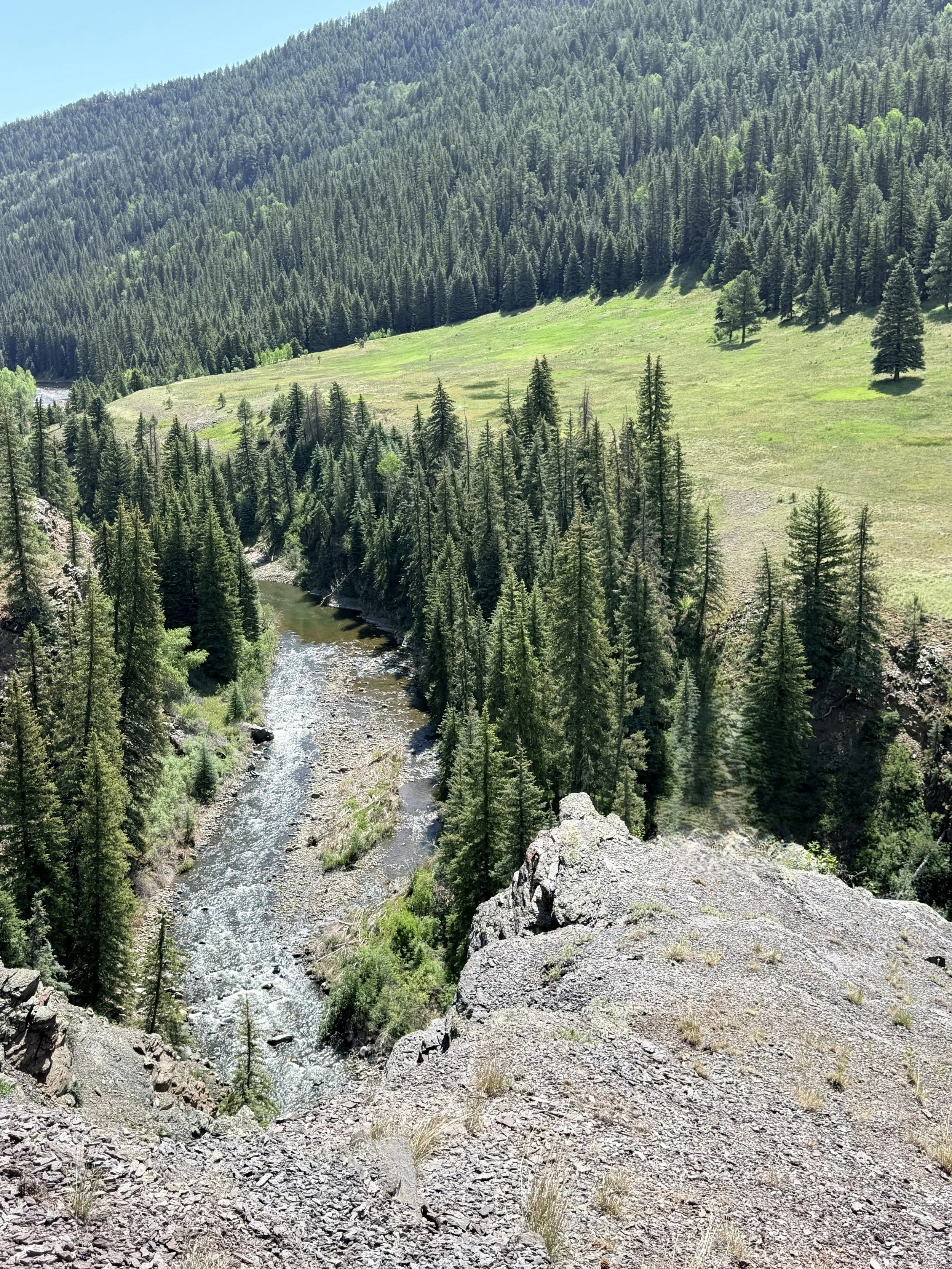 A scenic view of a rocky hillside overlooking a meandering river, surrounded by dense evergreen trees and forested mountains in the background.