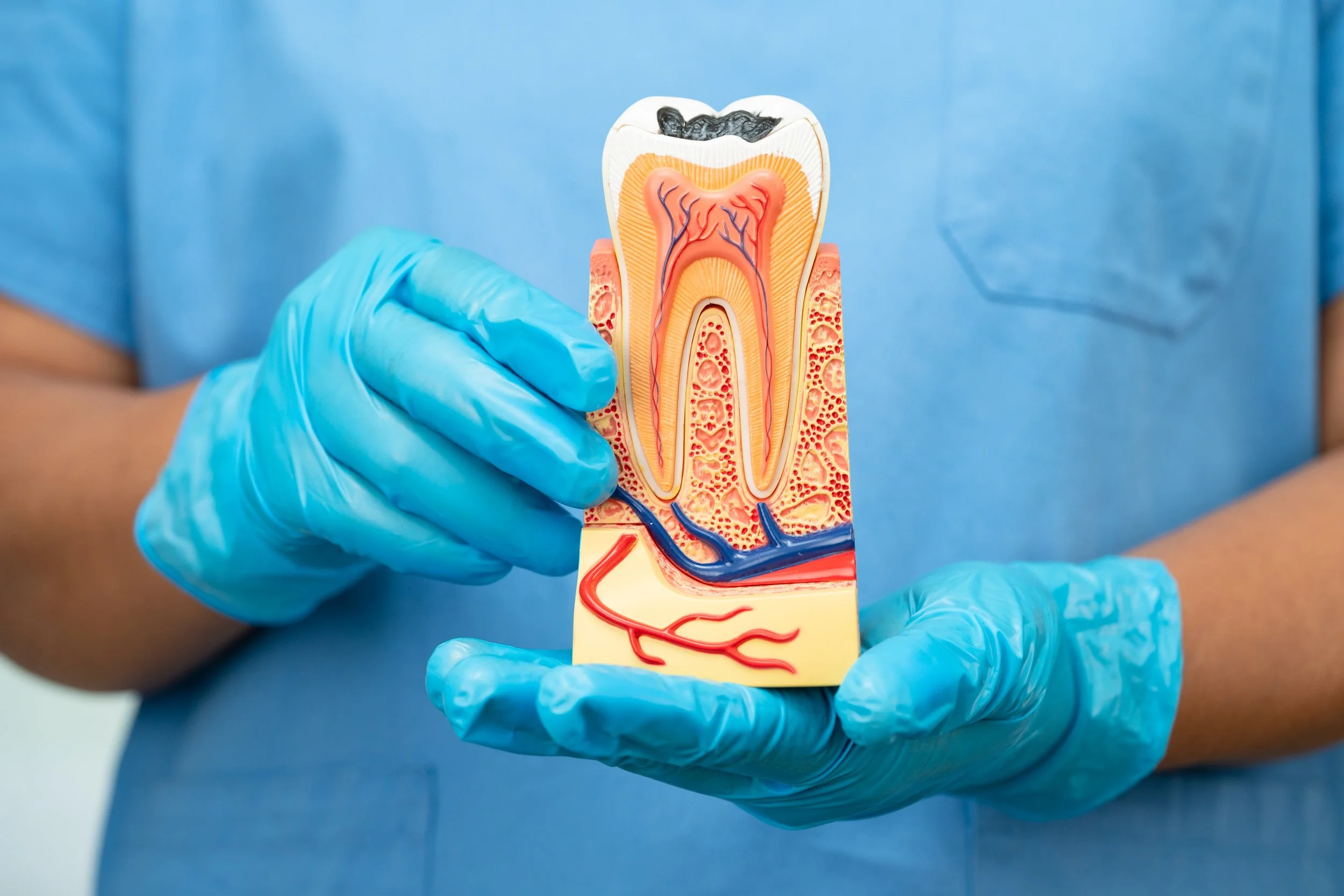 Dentoalveolar Surgery, AWOMS, Albury, Griffith, Wagga Wagga, Wangaratta